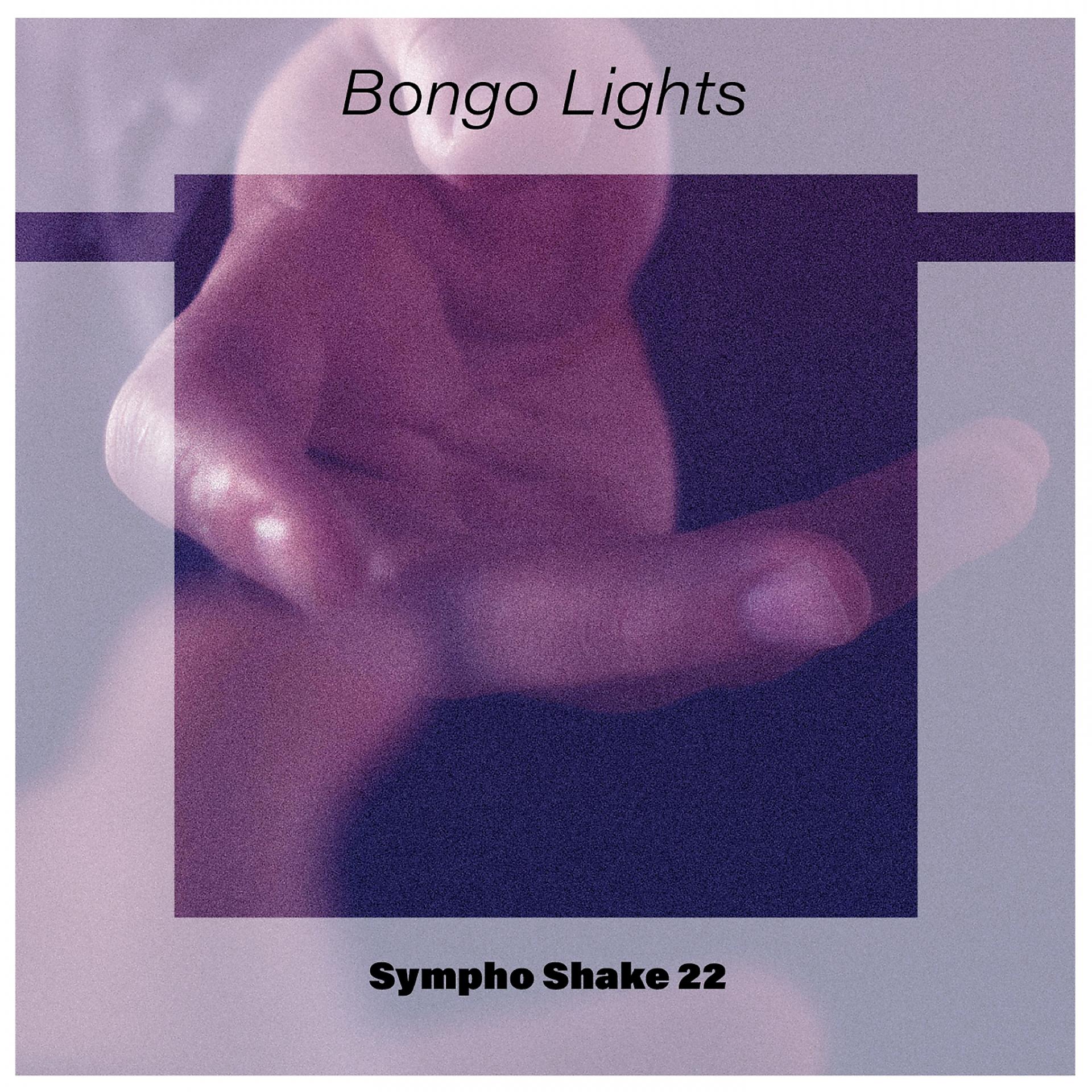 Постер альбома Bongo Lights Sympho Shake 22