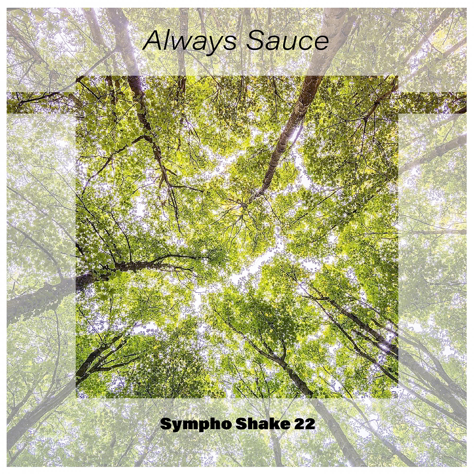 Постер альбома Always Sauce Sympho Shake 22
