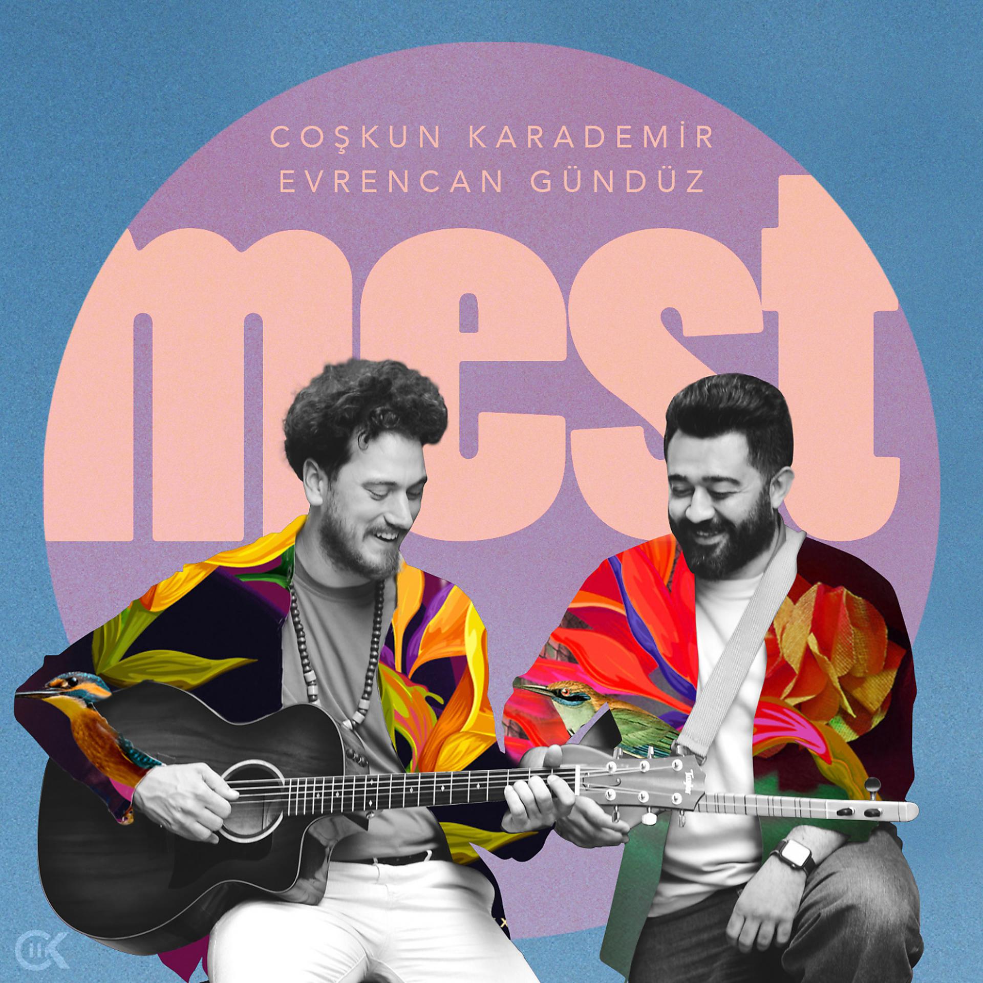 Постер альбома Mest