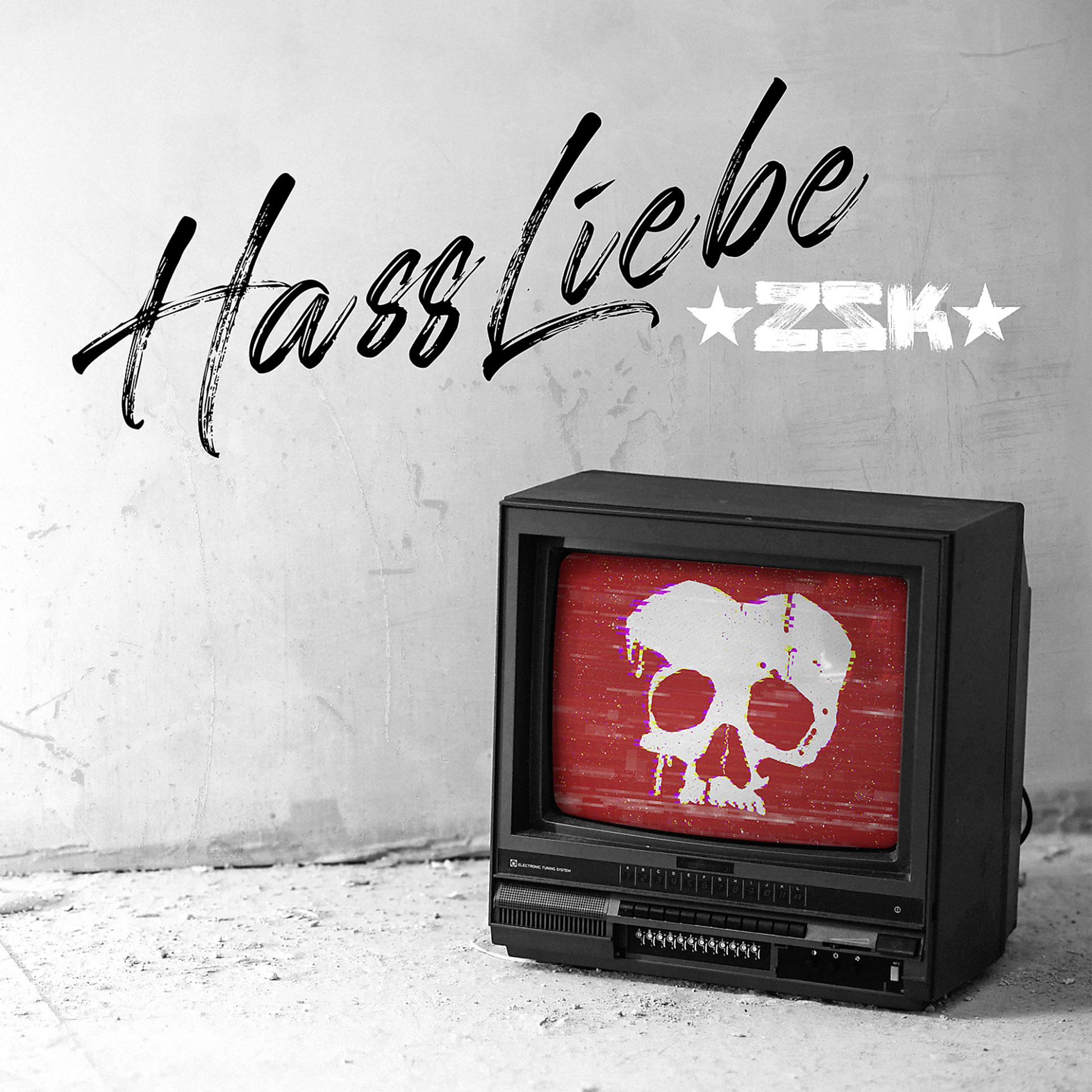 Постер альбома HassLiebe