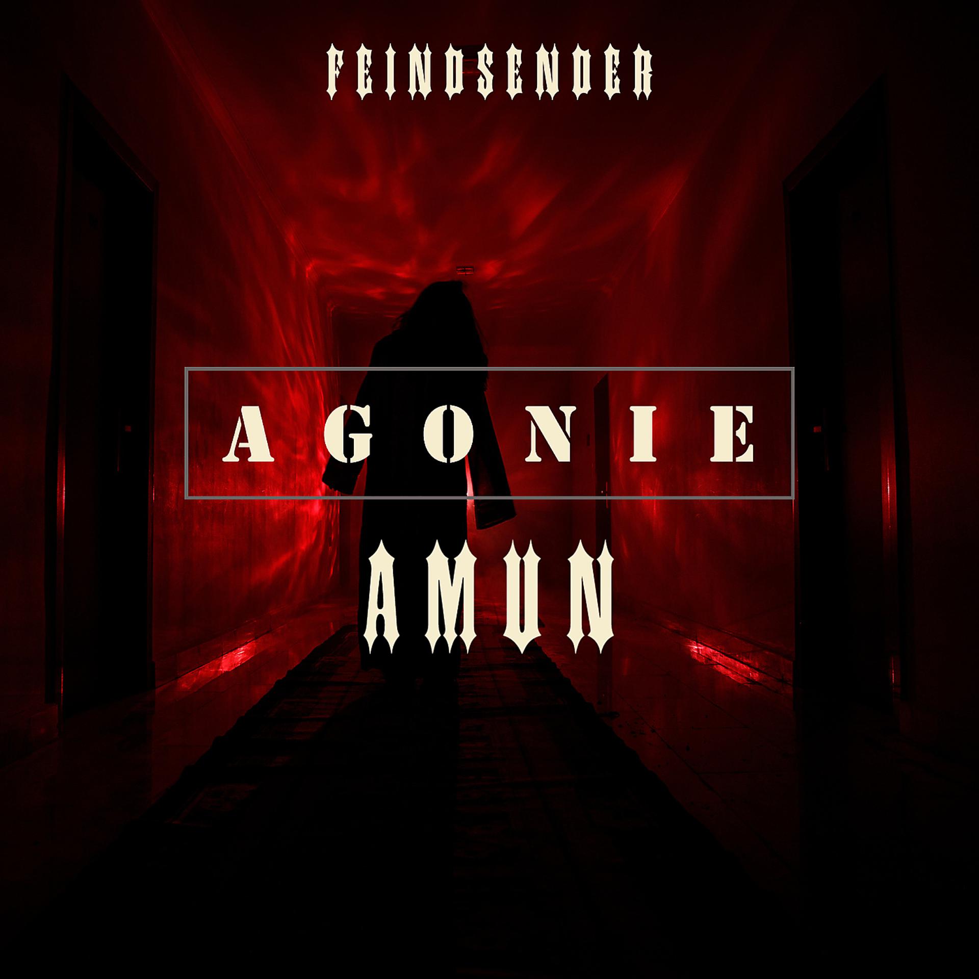 Постер альбома Agonie