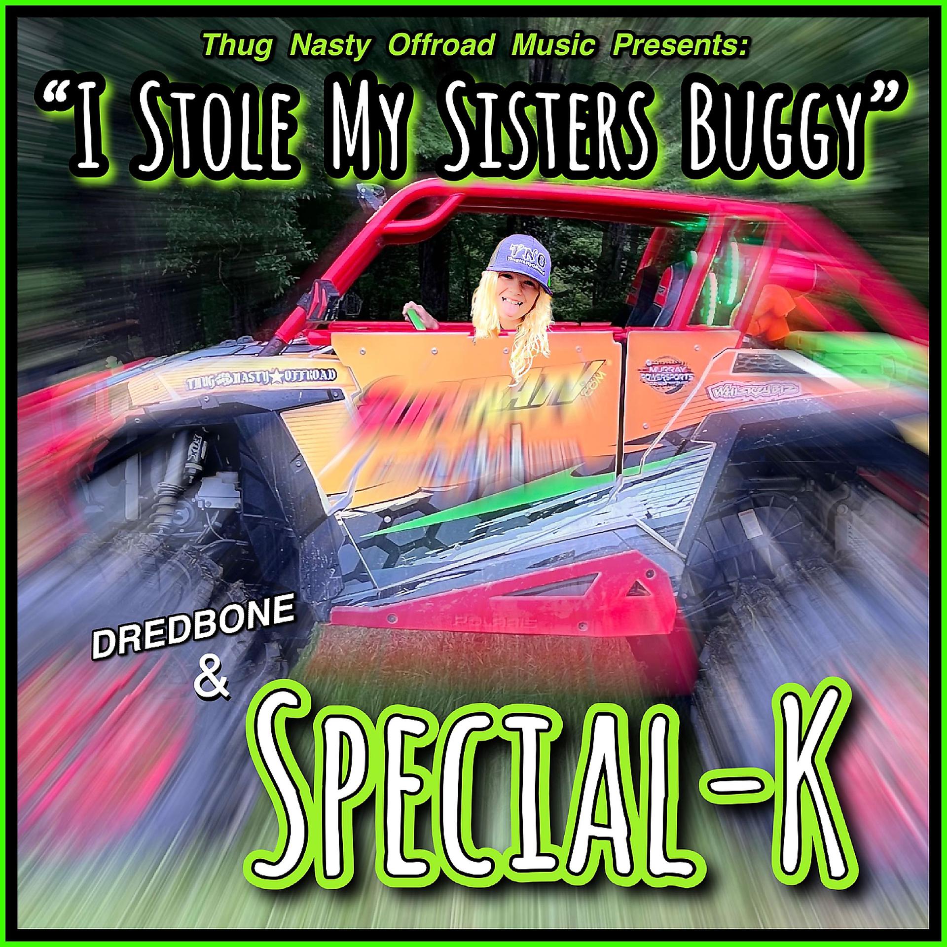 Постер альбома I Stole My Sister’s Buggy