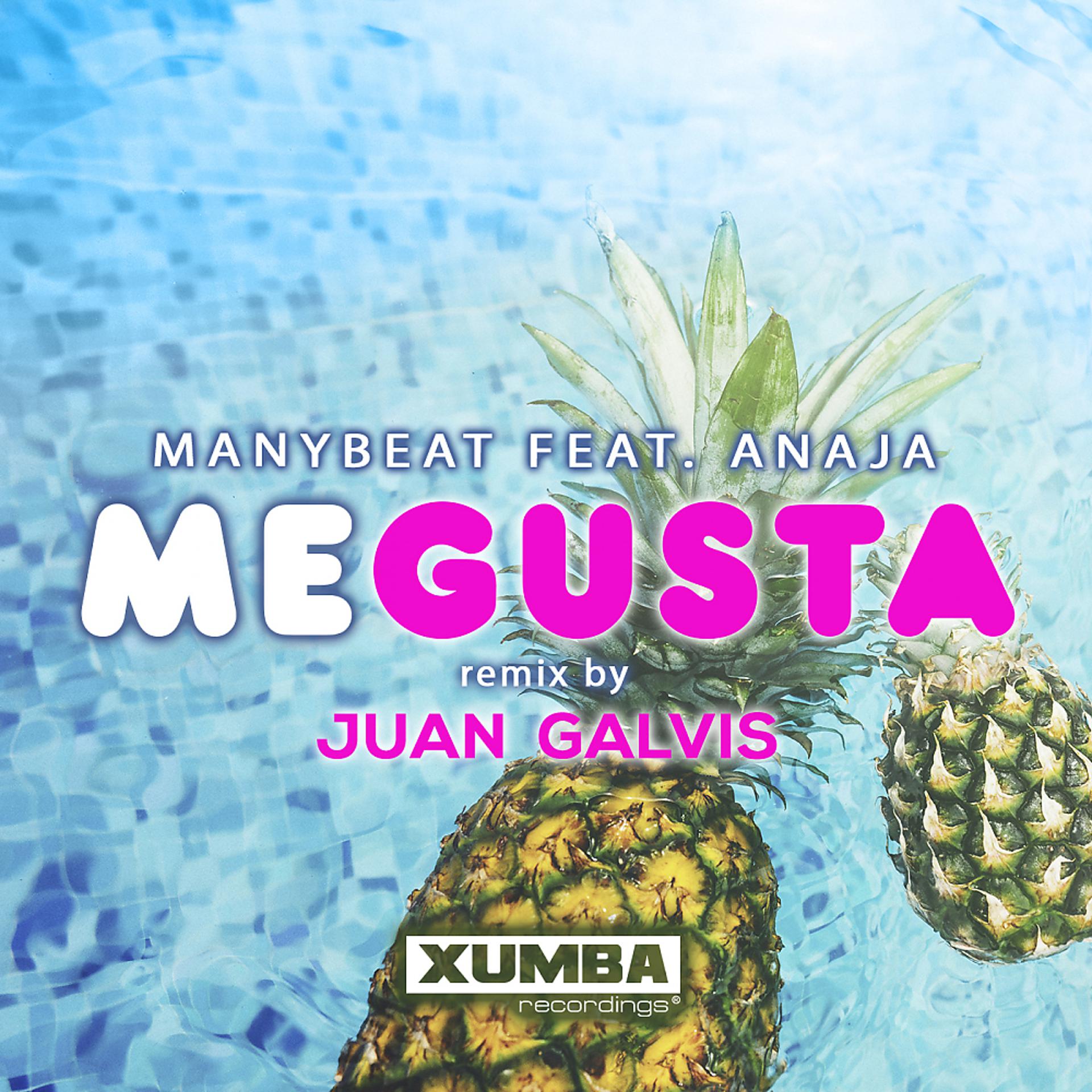 Постер альбома Me Gusta (Remix)