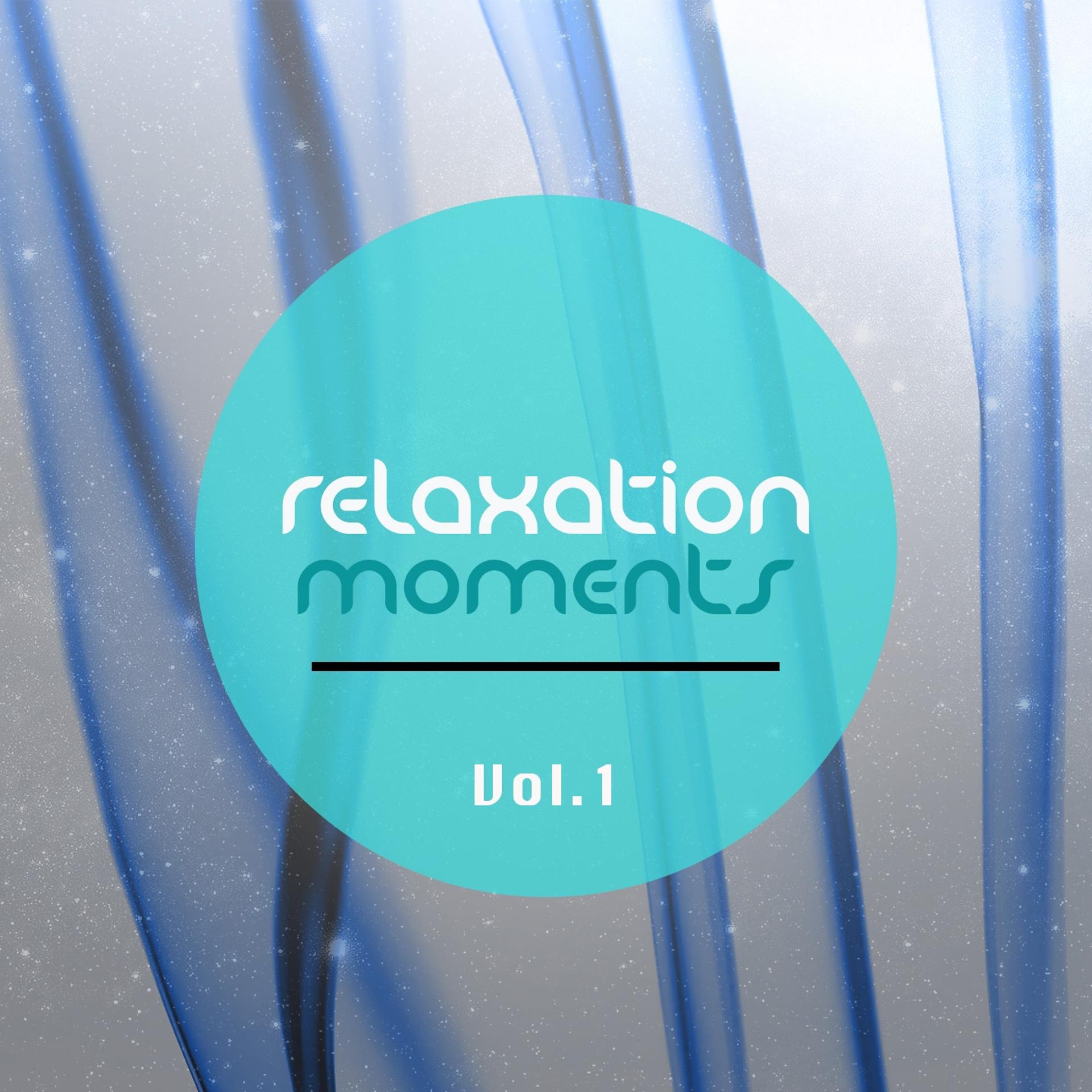 Постер альбома Relaxation Moments