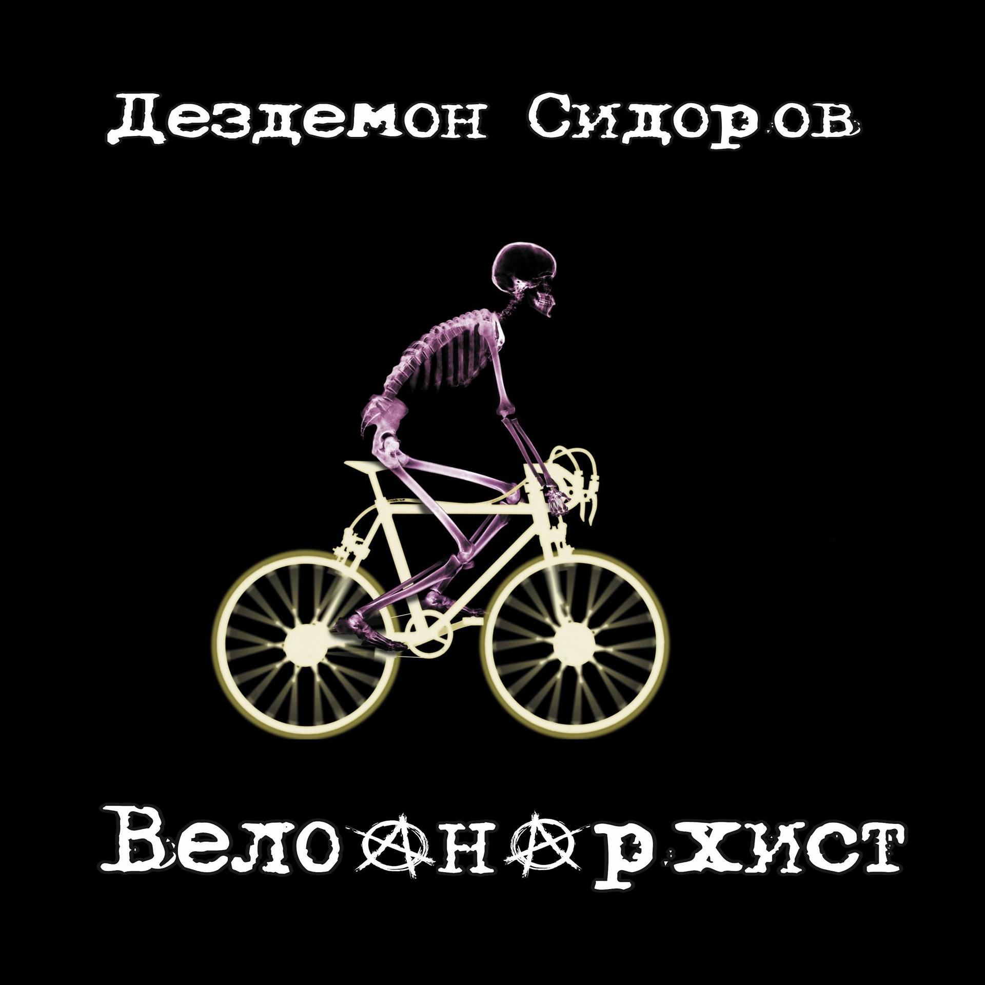 Постер альбома Велоанархист