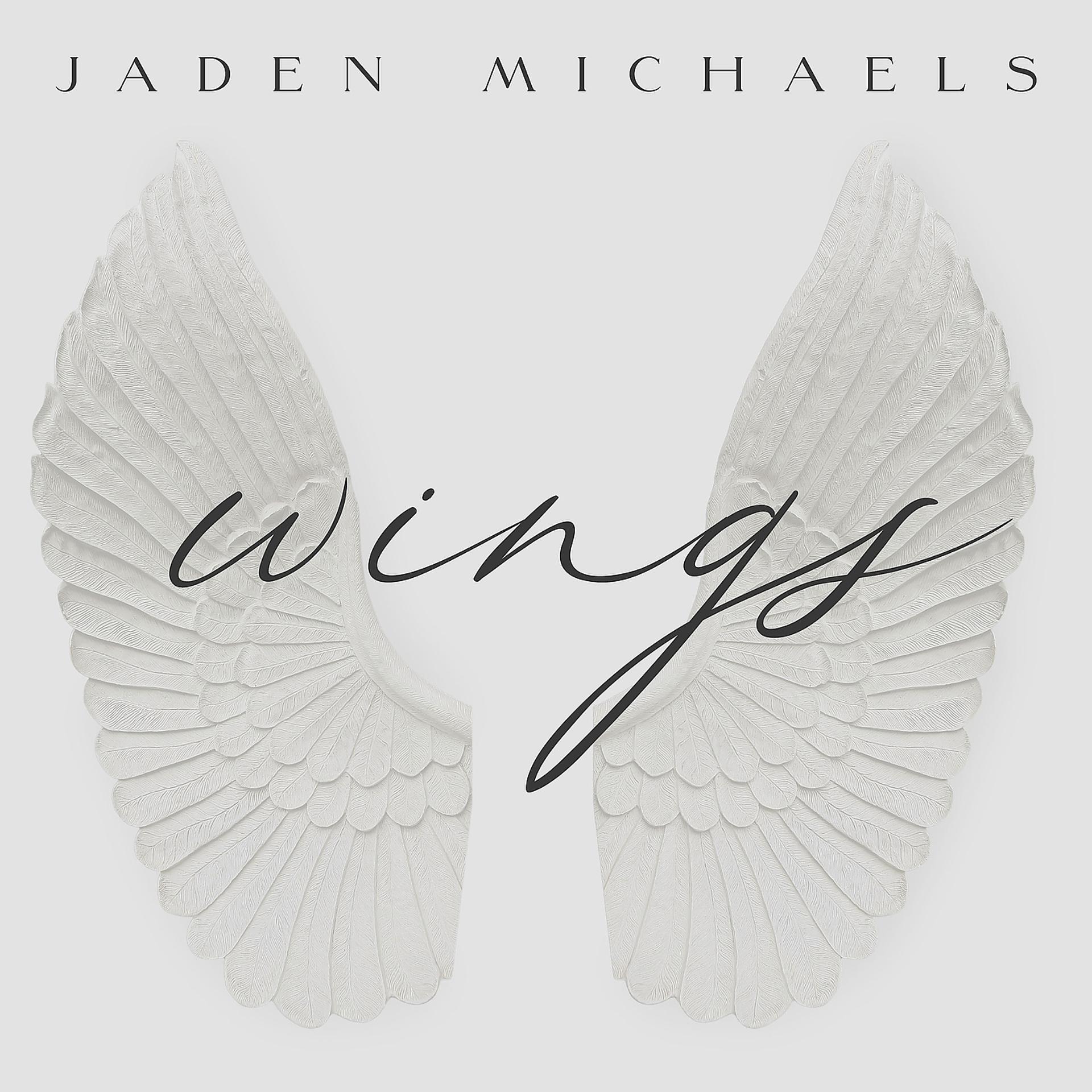 Постер альбома Wings