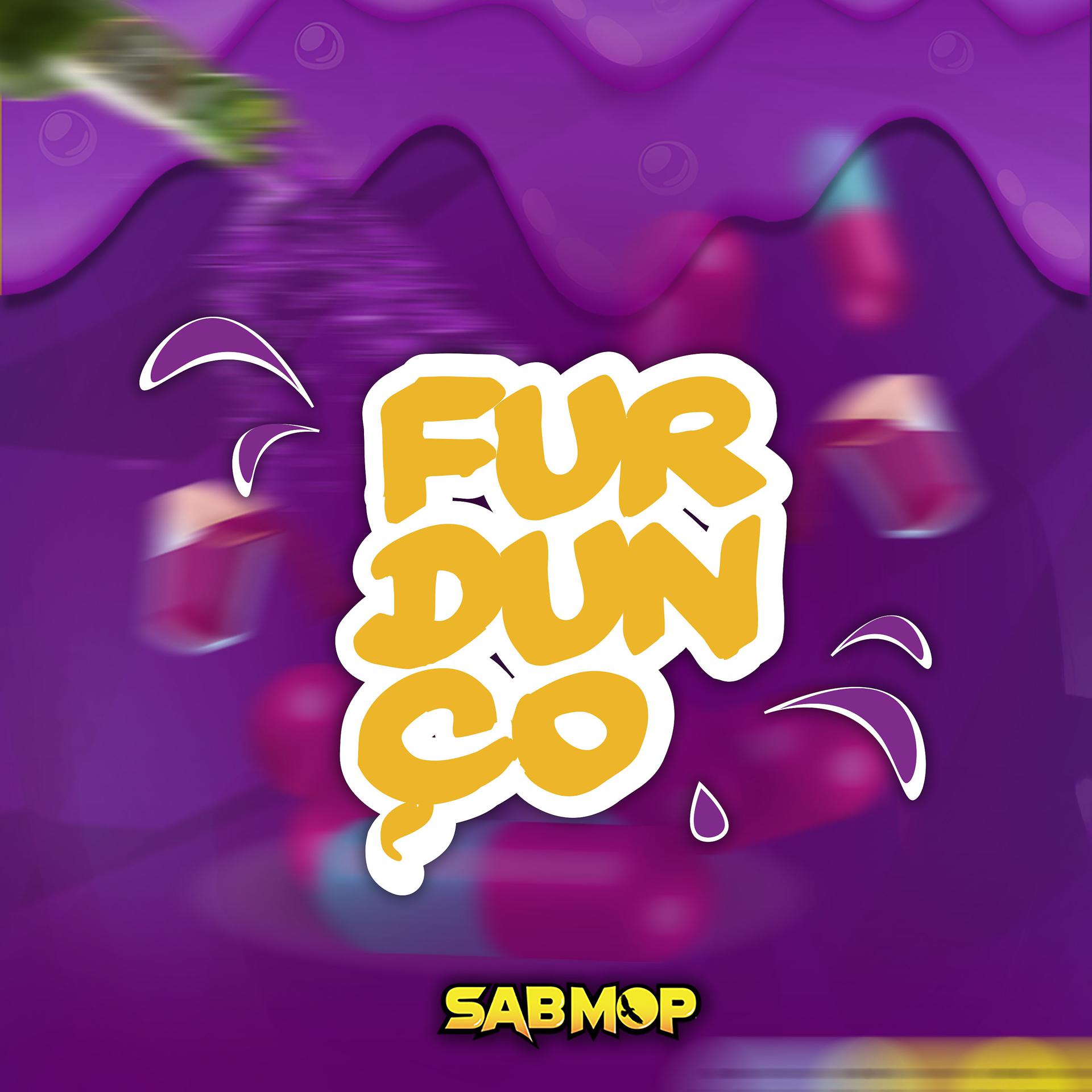Постер альбома Furdunço