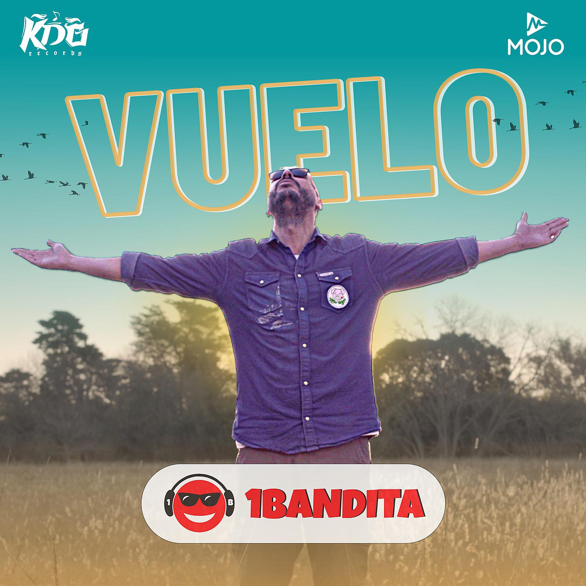 Постер альбома Vuelo