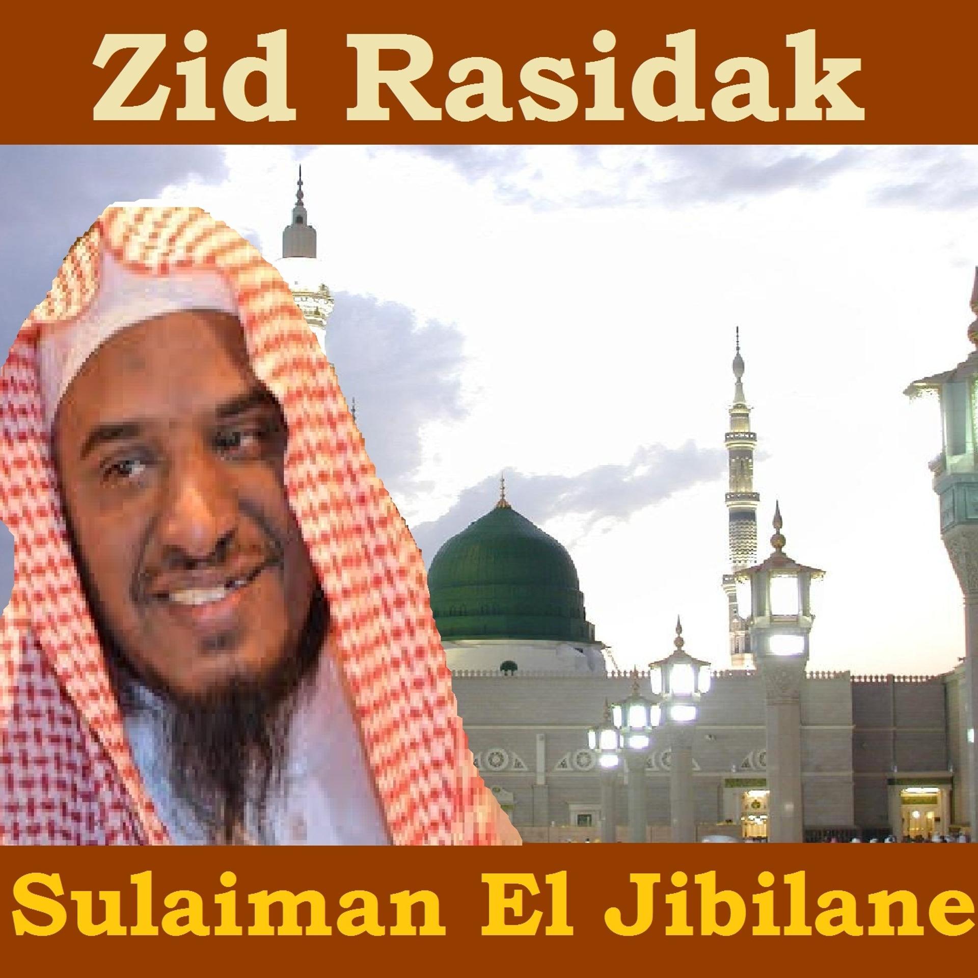 Постер альбома Zid Rasidak