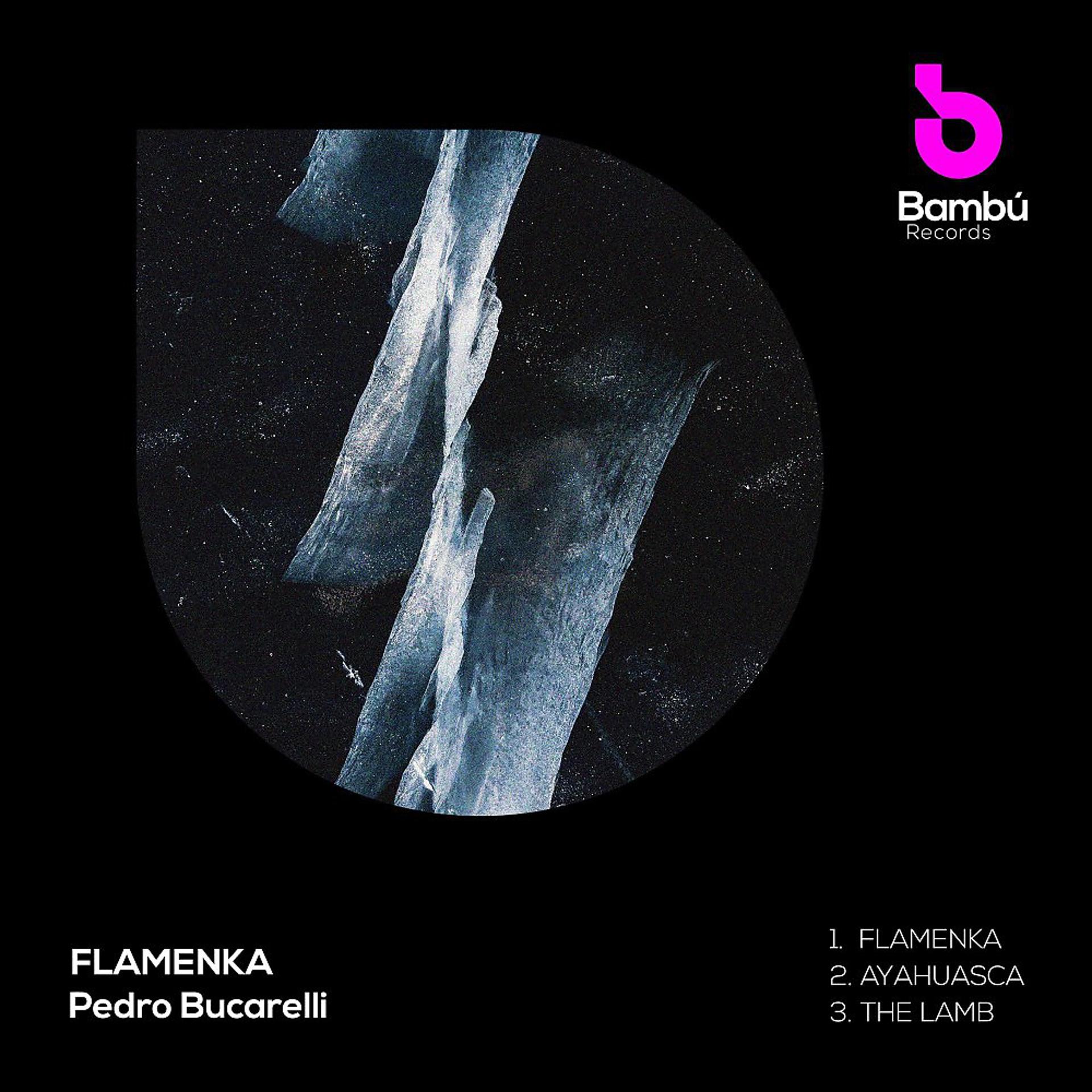 Постер альбома Flamenka