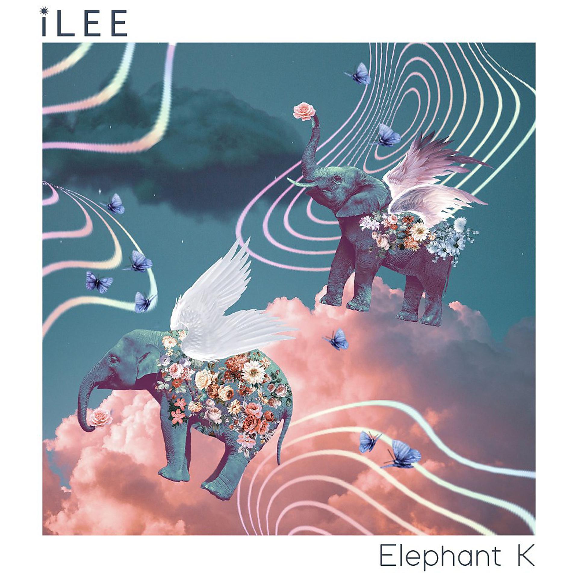 Постер альбома Elephant K