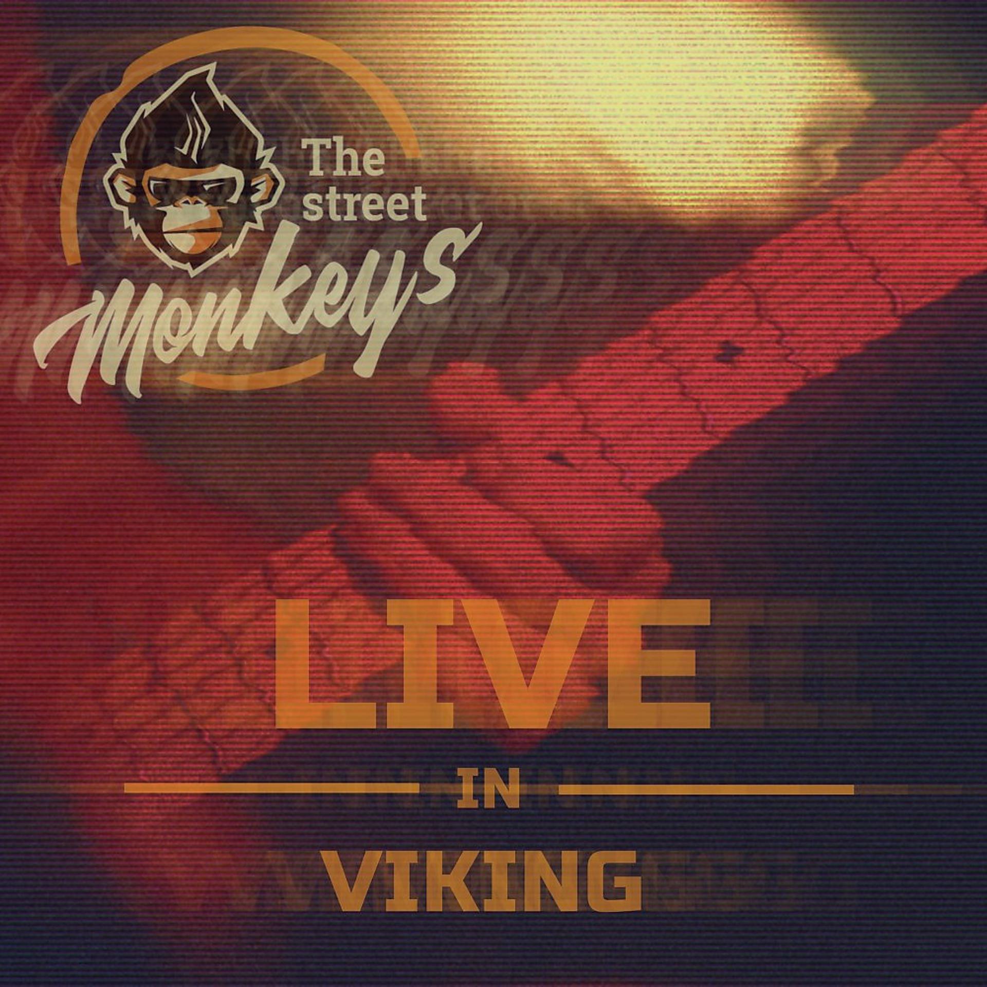 Постер альбома Live in Viking