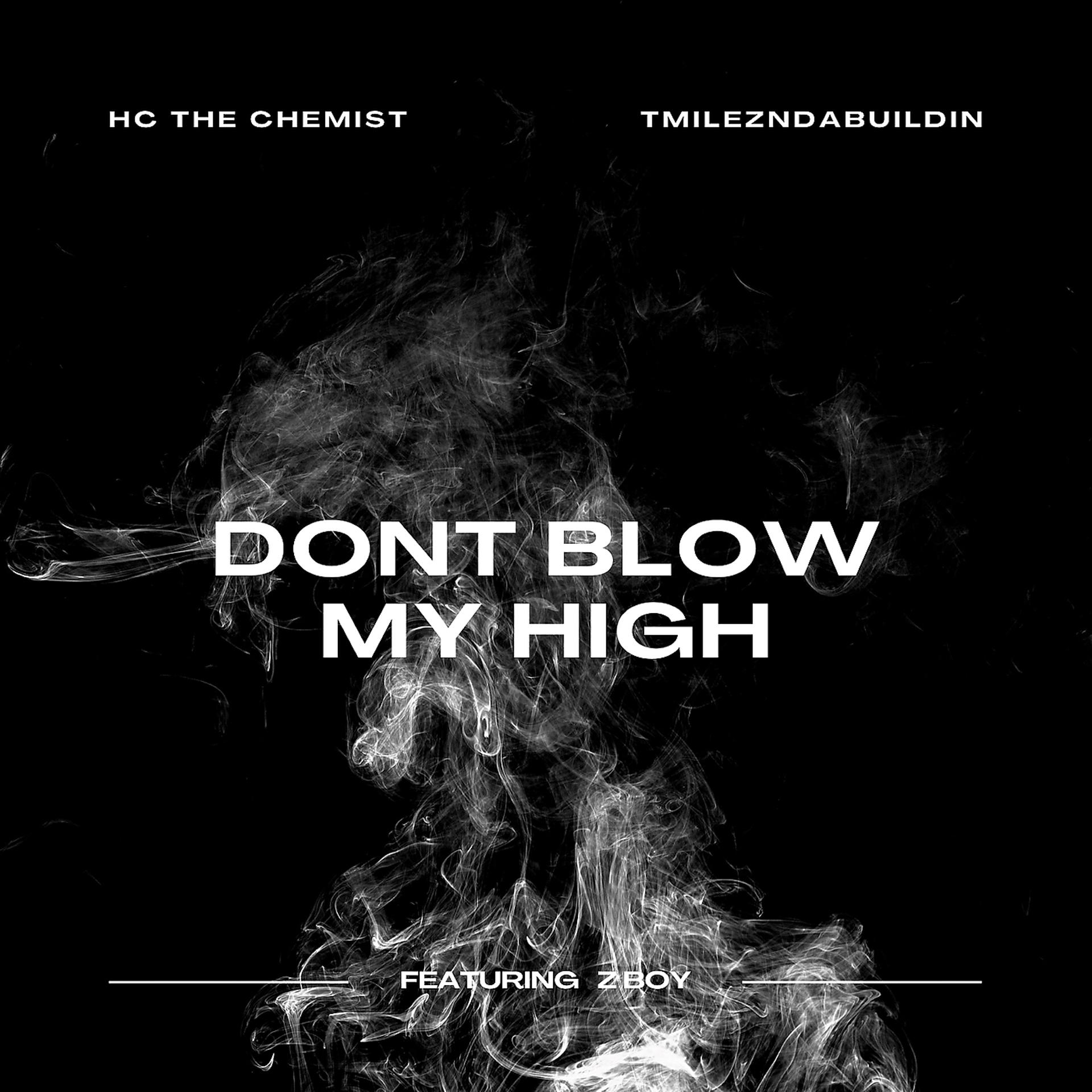 Постер альбома Dont Blow My High