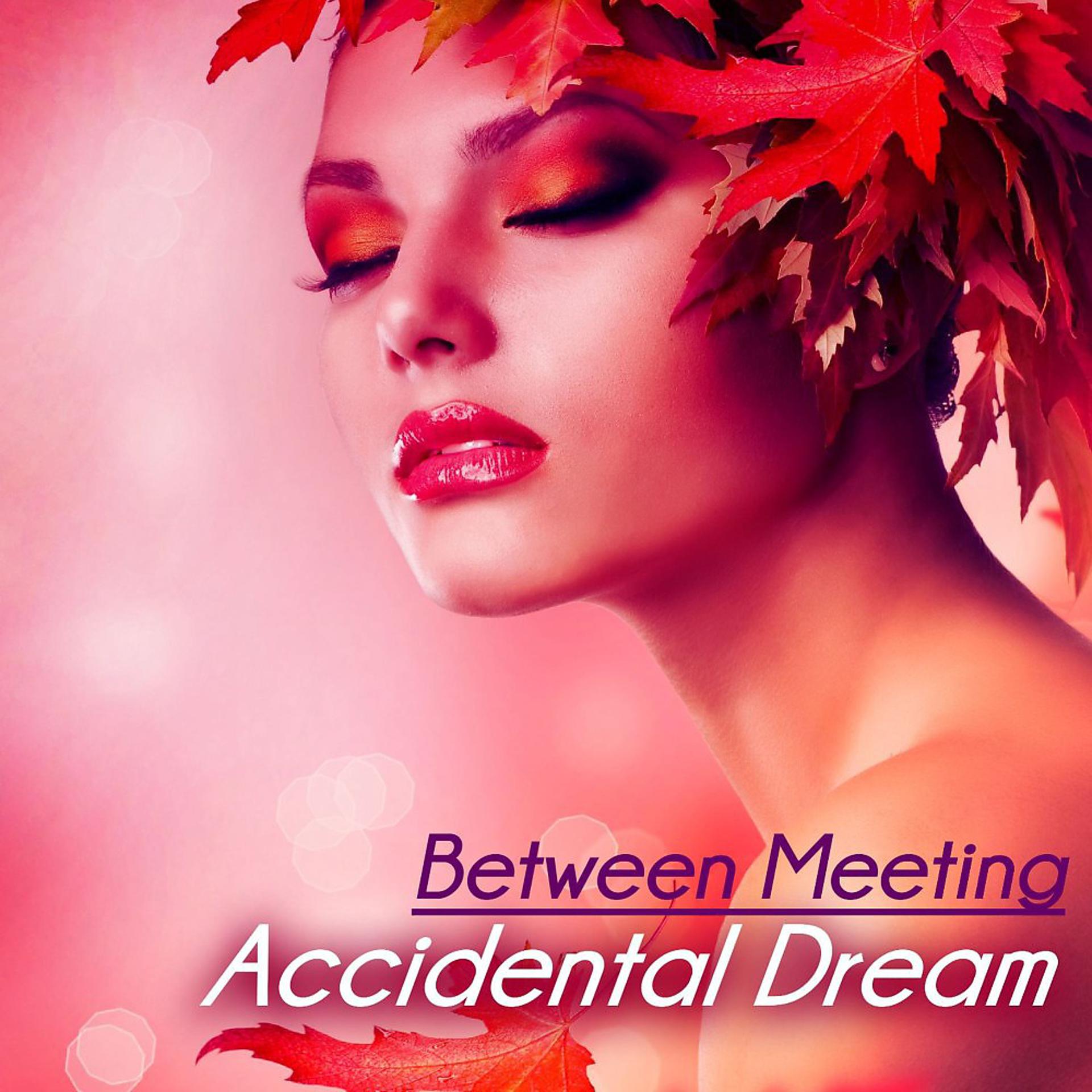 Постер альбома Accidental Dream