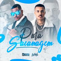 Постер альбома Pura Sacanagem