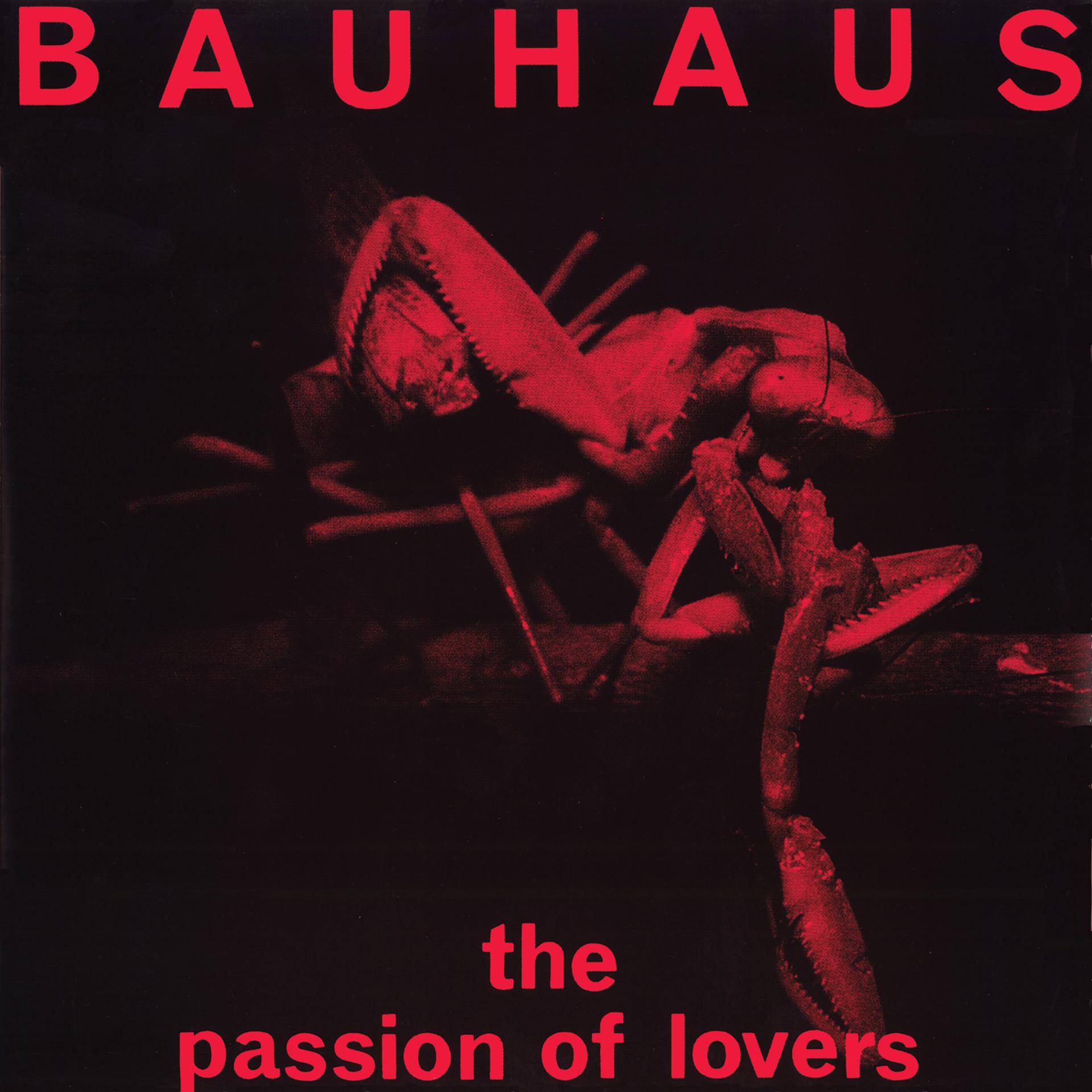 Постер альбома The Passion of Lovers