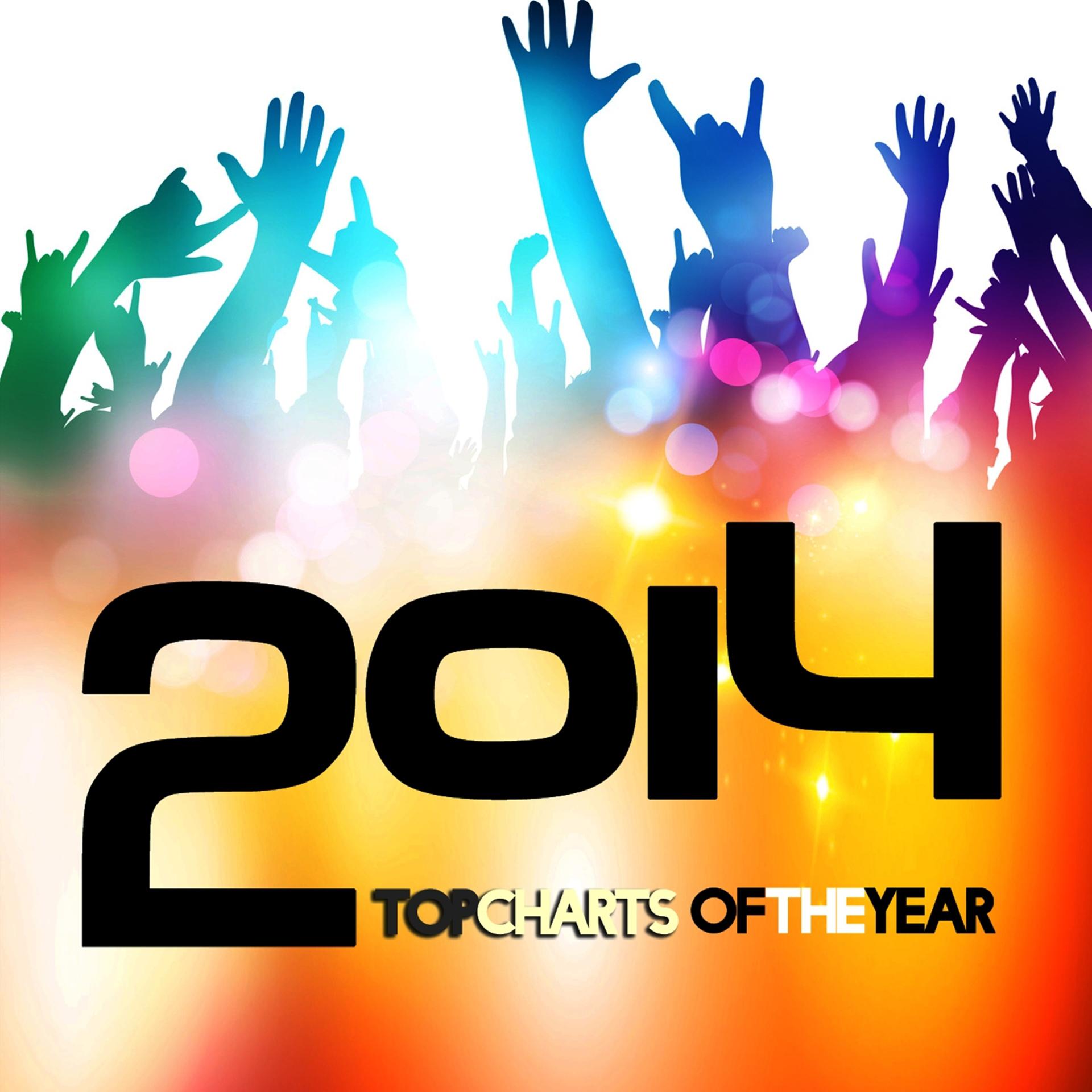 Постер альбома Top Charts of the Year 2014