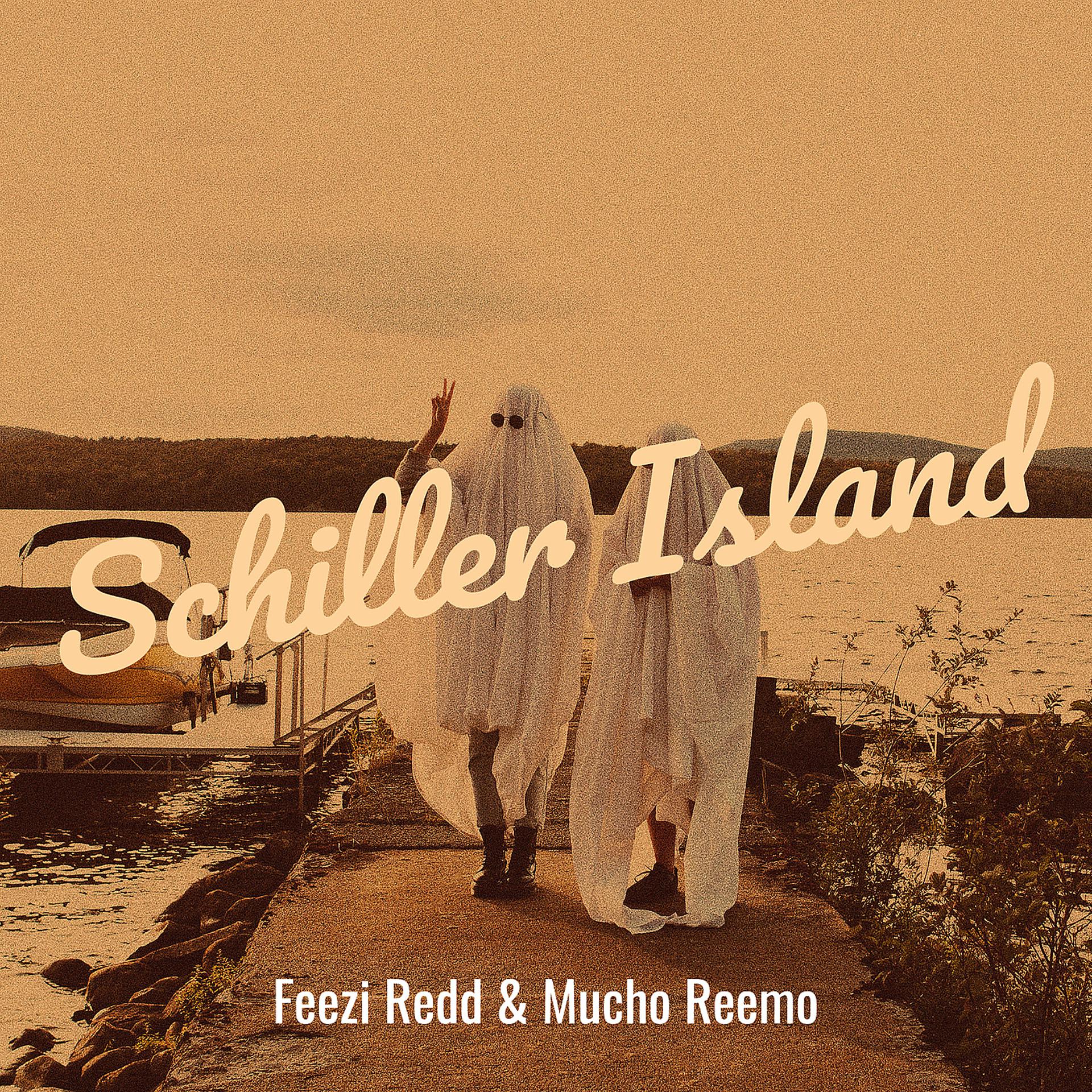 Постер альбома Schiller Island
