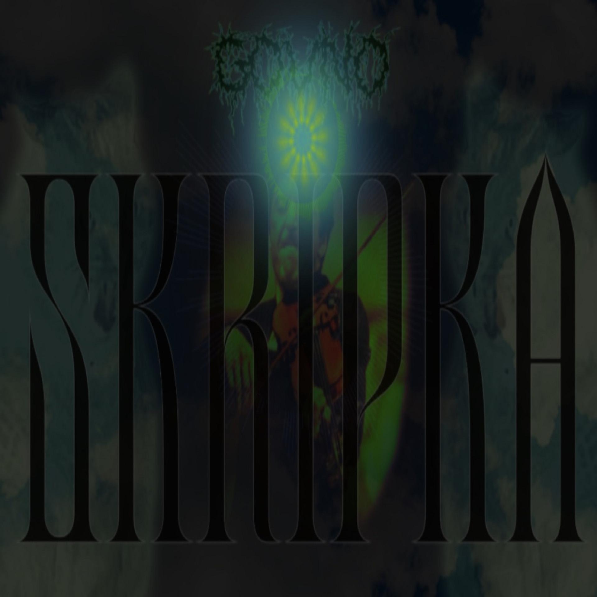 Постер альбома Skripka