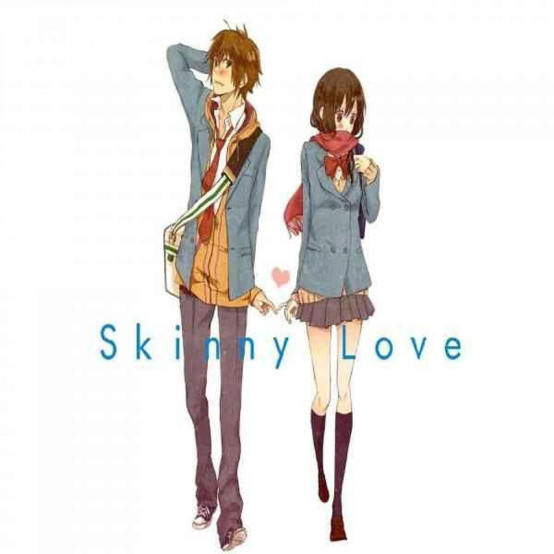 Постер альбома Skinny Love 