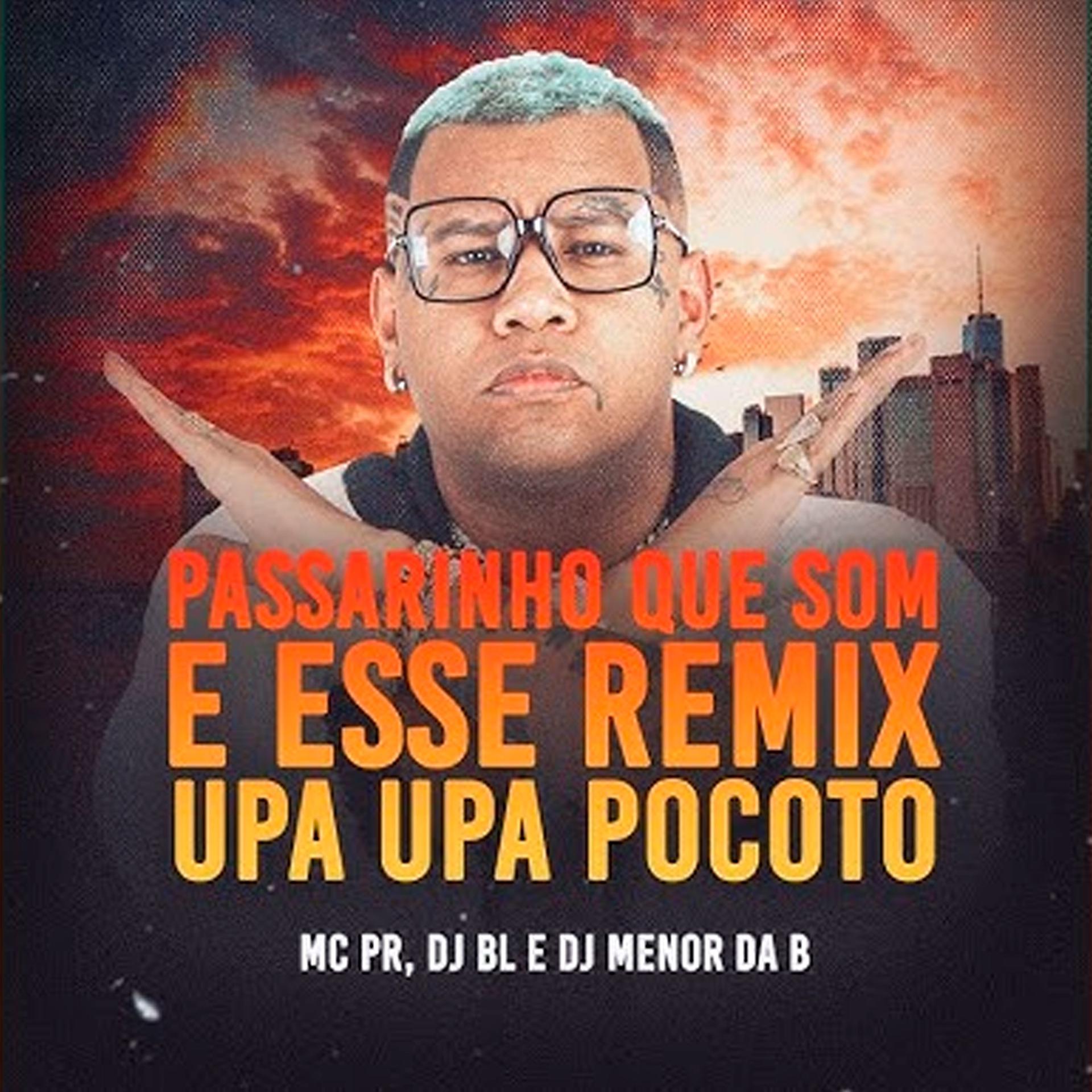 Постер альбома Passarinho Que Som É Esse?