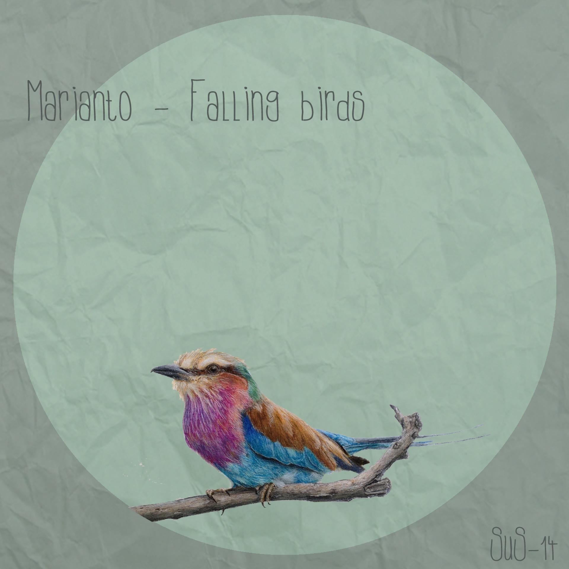 Постер альбома Falling Birds