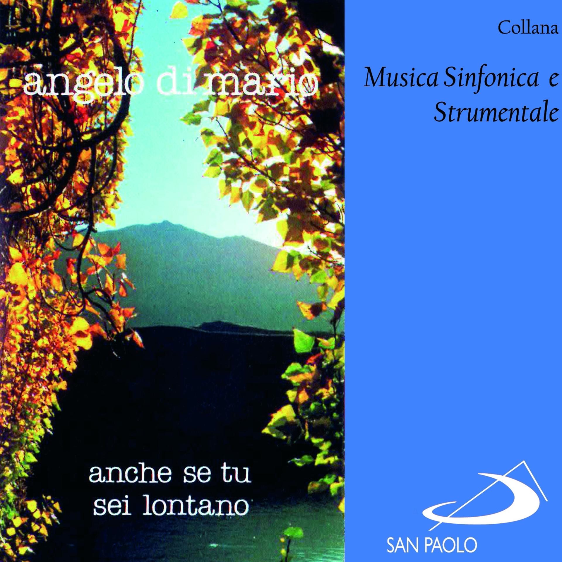 Постер альбома Collana musica sinfonica e strumentale: Anche se tu sei lontano