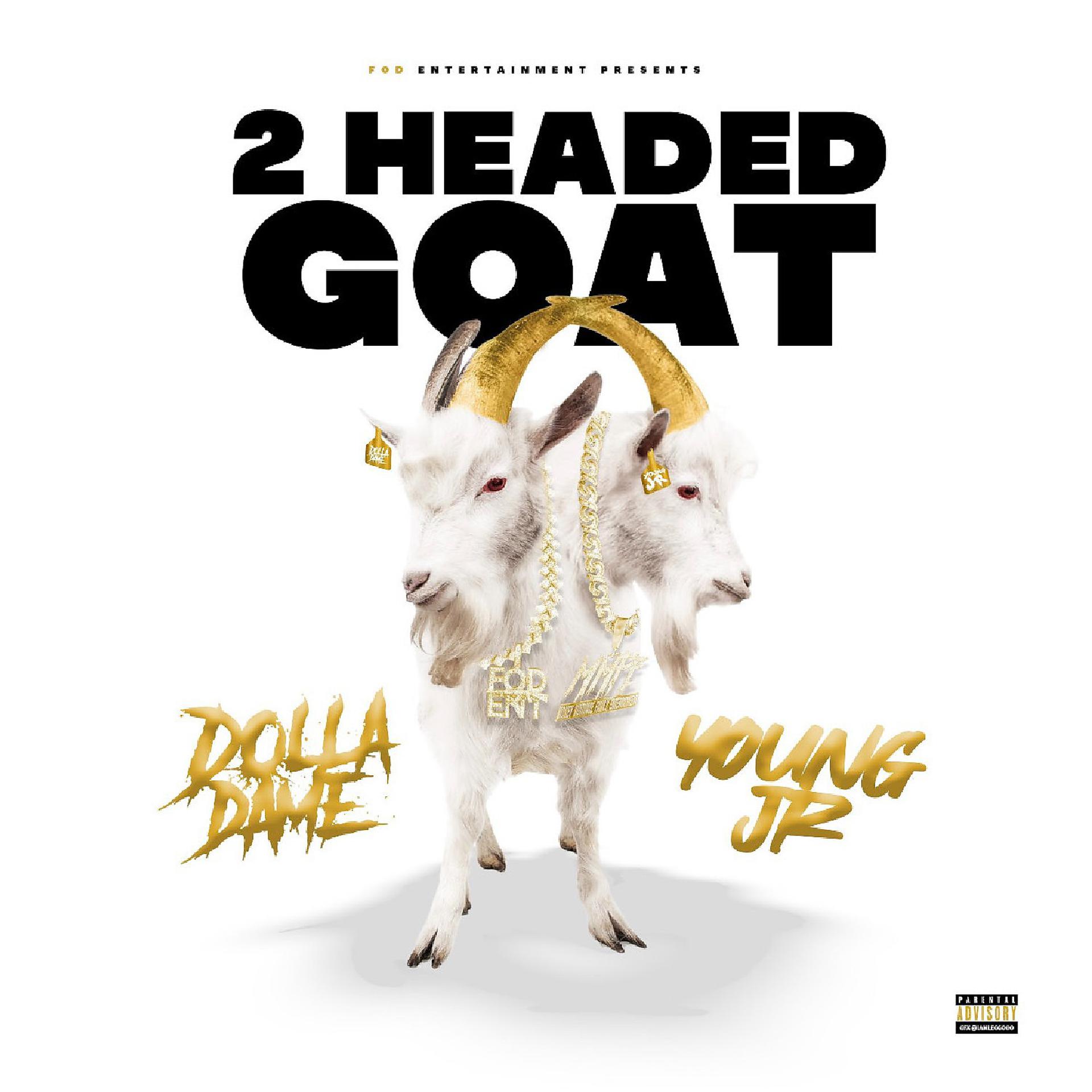 Постер альбома 2 Headed Goat