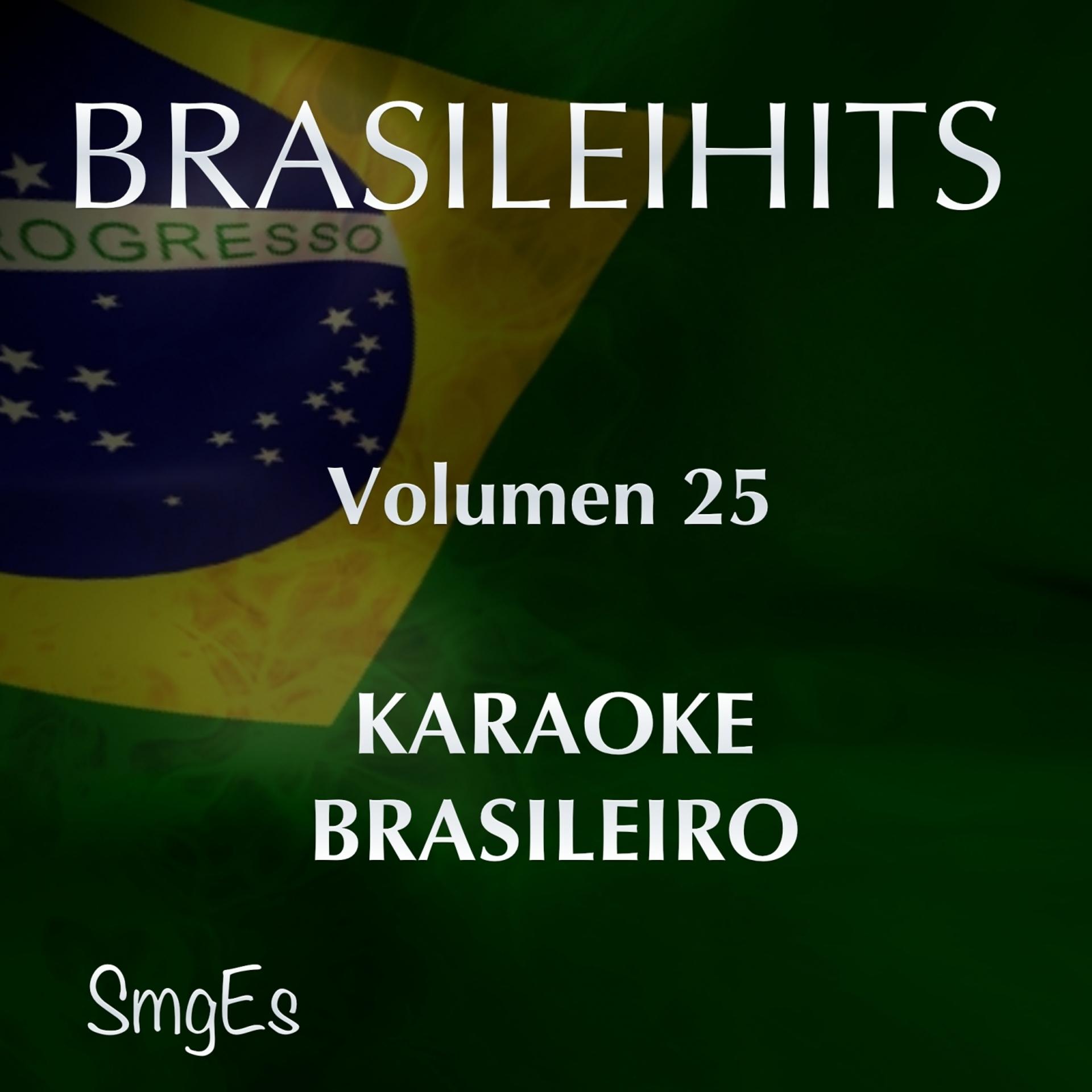 Постер альбома BrasileiHits, Vol. 25 (Karaoke Version)