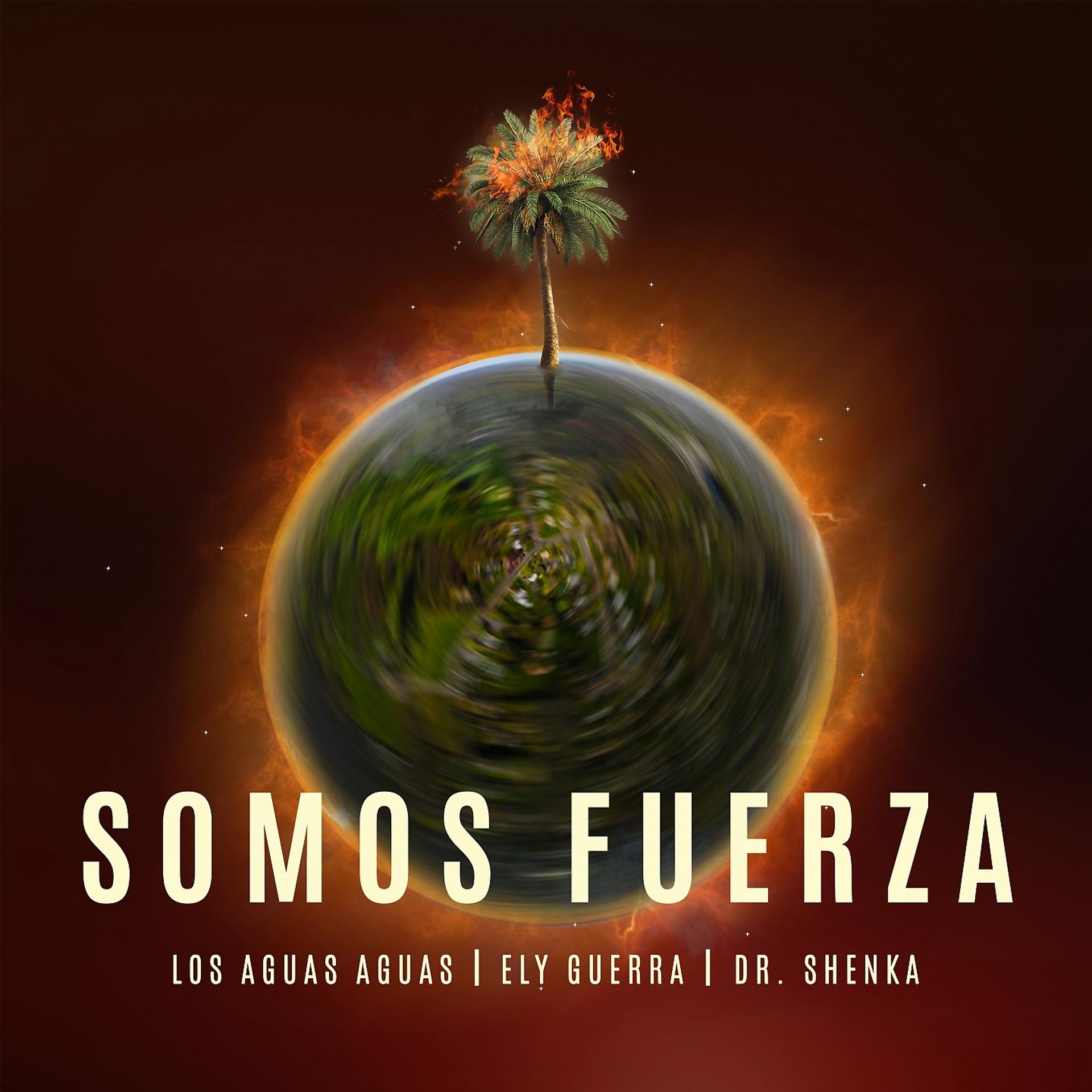 Постер альбома Somos Fuerza