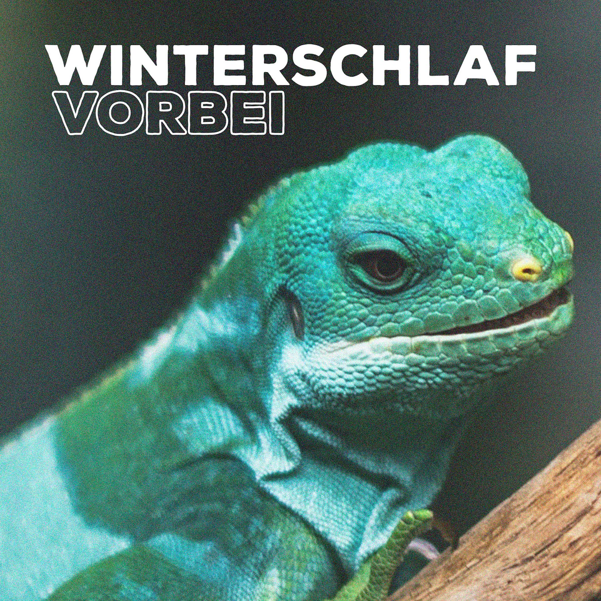 Постер альбома Winterschlaf vorbei