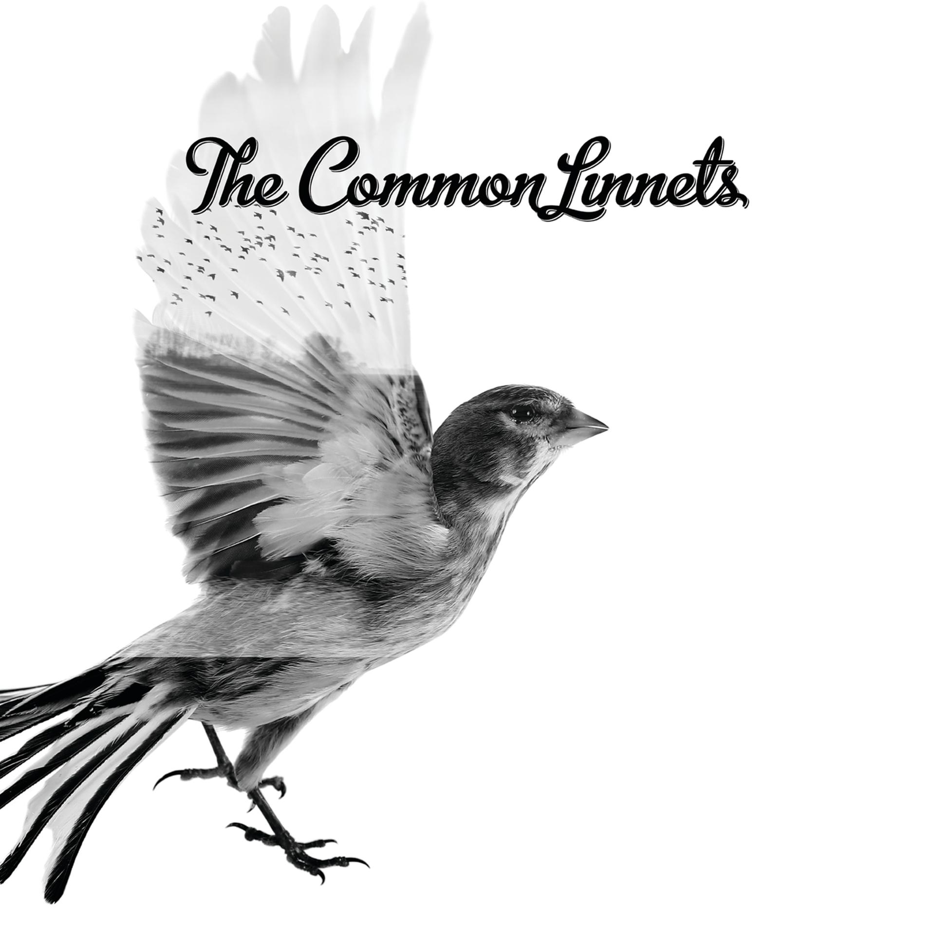 Постер альбома The Common Linnets