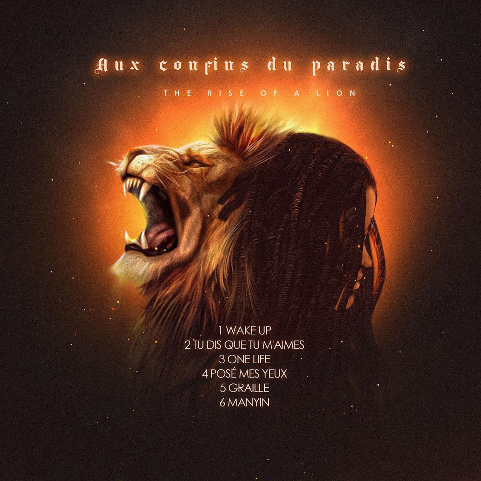 Постер альбома Aux confins du paradis - The Rise of A Lion