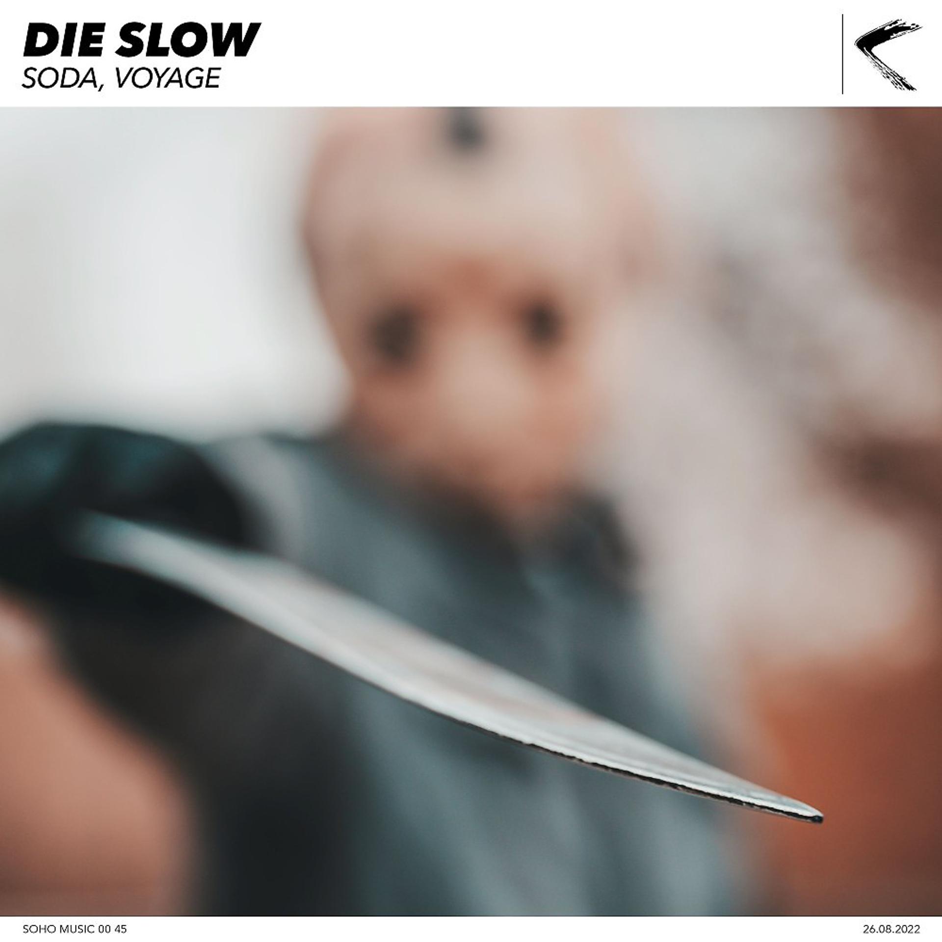 Постер альбома Die Slow