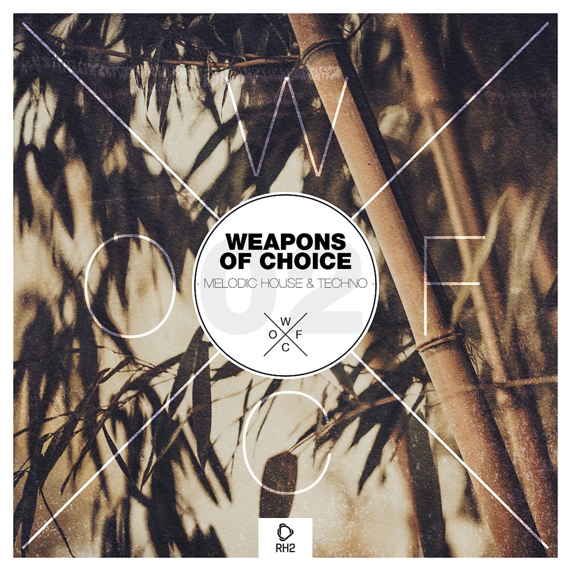 Постер альбома Weapons of Choice - Melodic House & Techno, Vol. 2