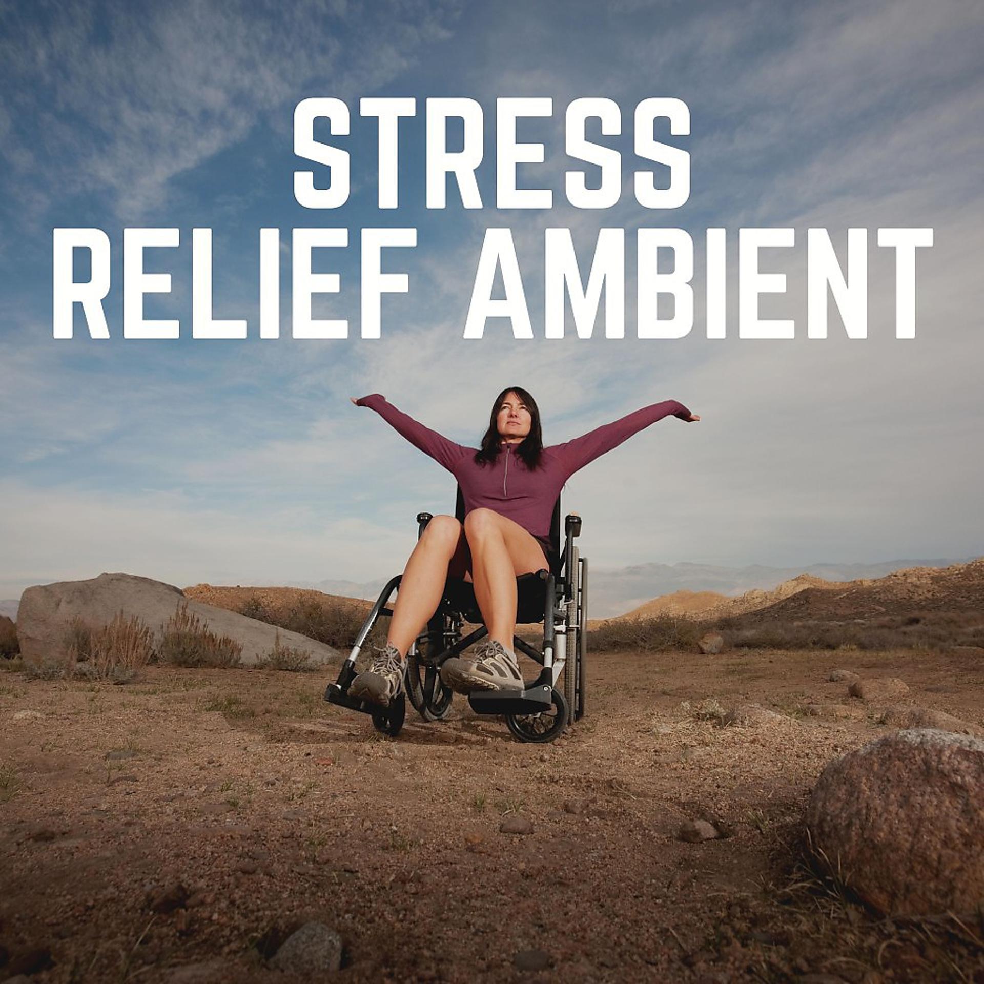 Постер альбома Stress Relief Ambient