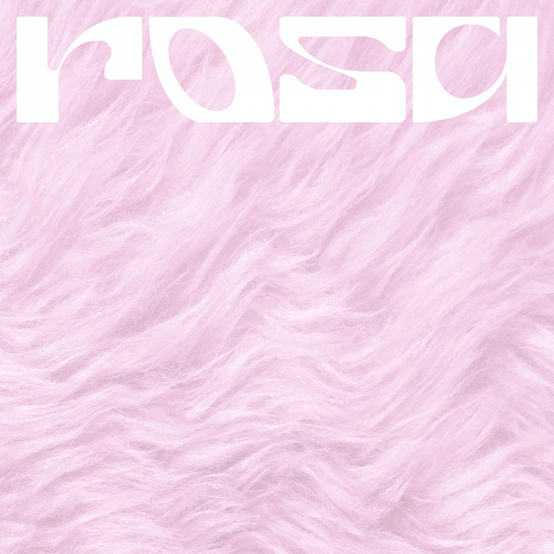 Постер альбома ROSA