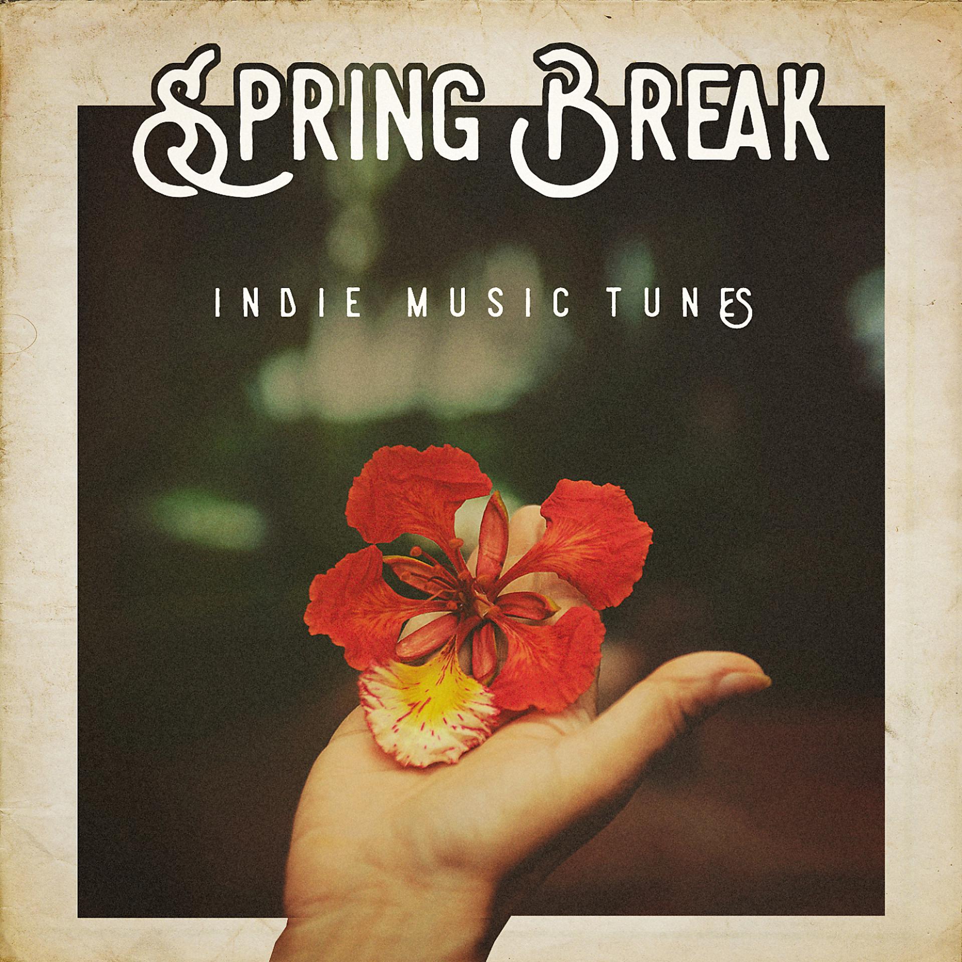 Постер альбома Spring Break Indie Music Tunes