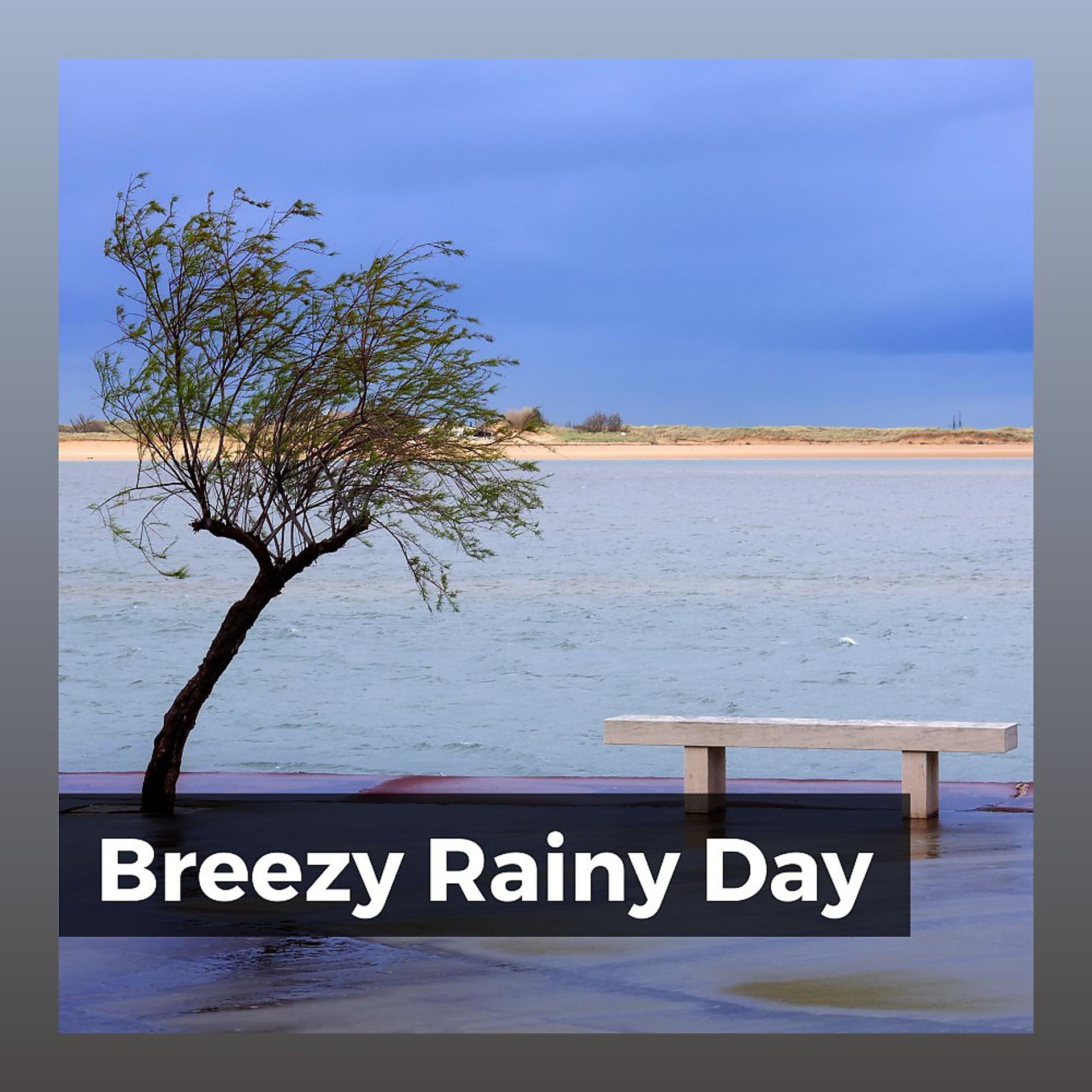 Постер альбома Breezy Rainy Day