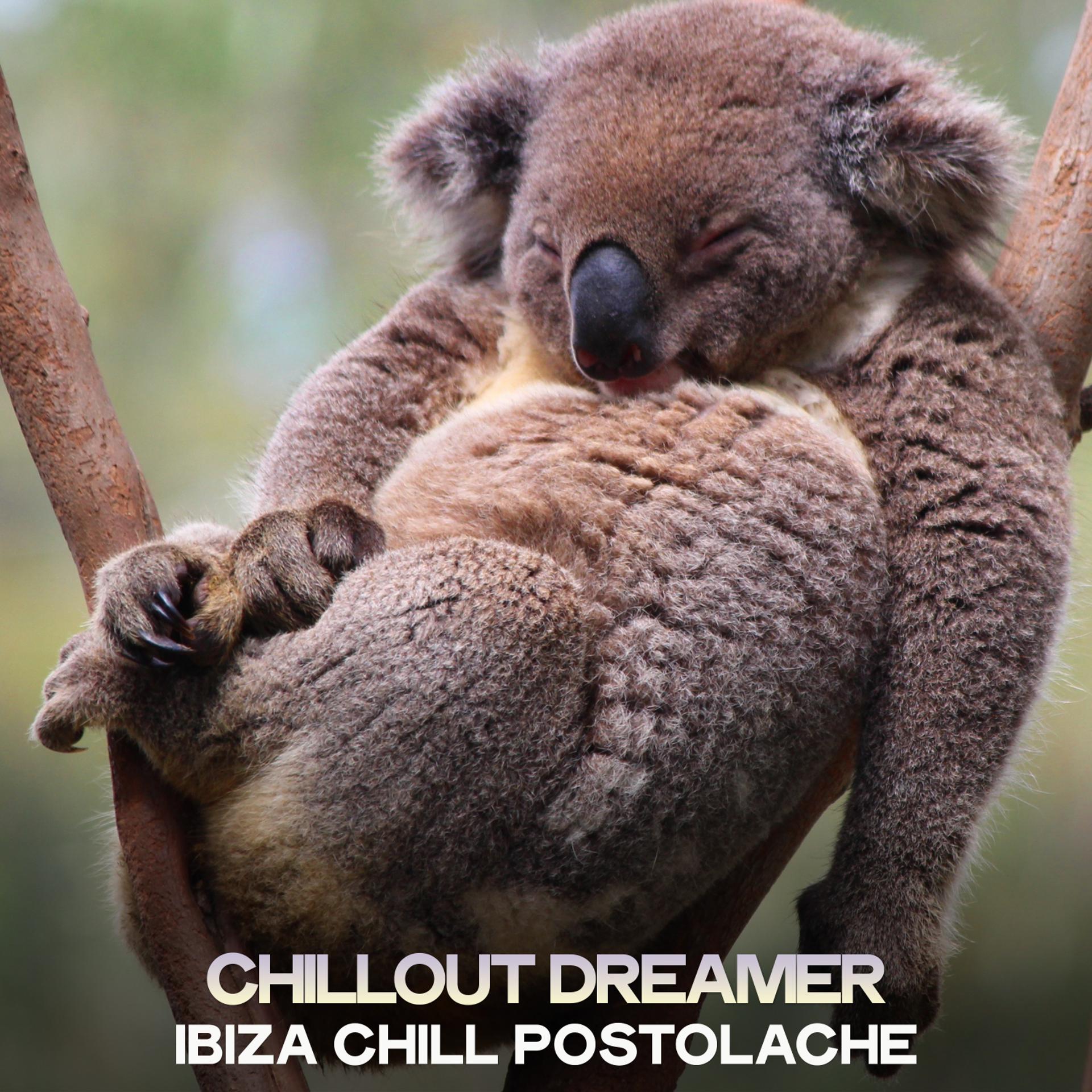 Постер альбома Chillout Dreamer