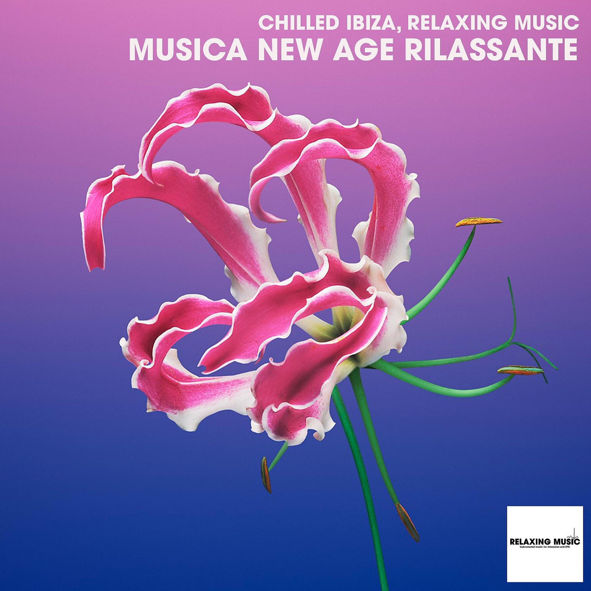 Постер альбома Musica New Age Rilassante