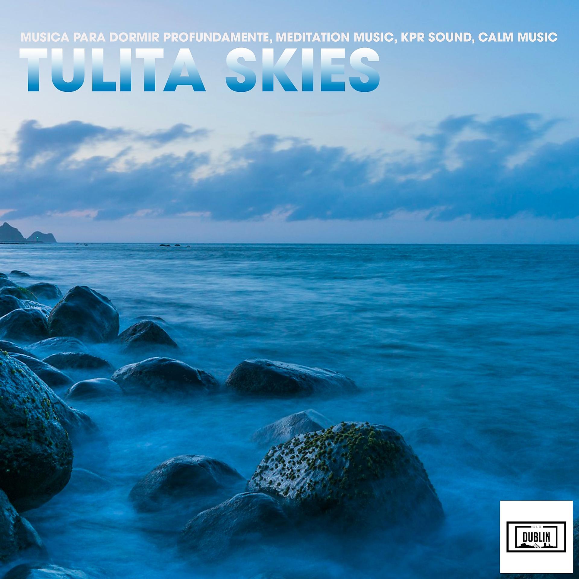 Постер альбома Tulita Skies