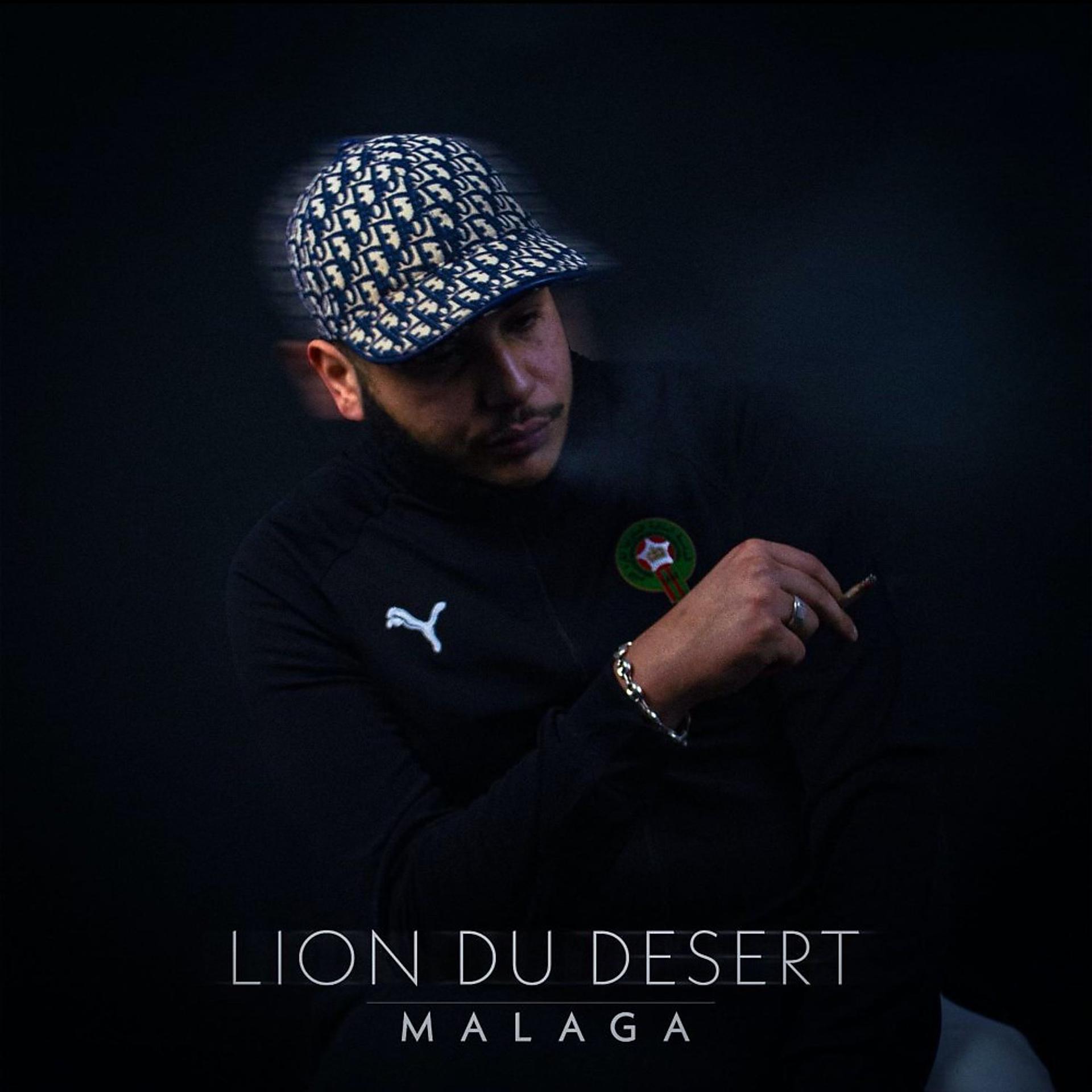 Постер альбома Lion du désert