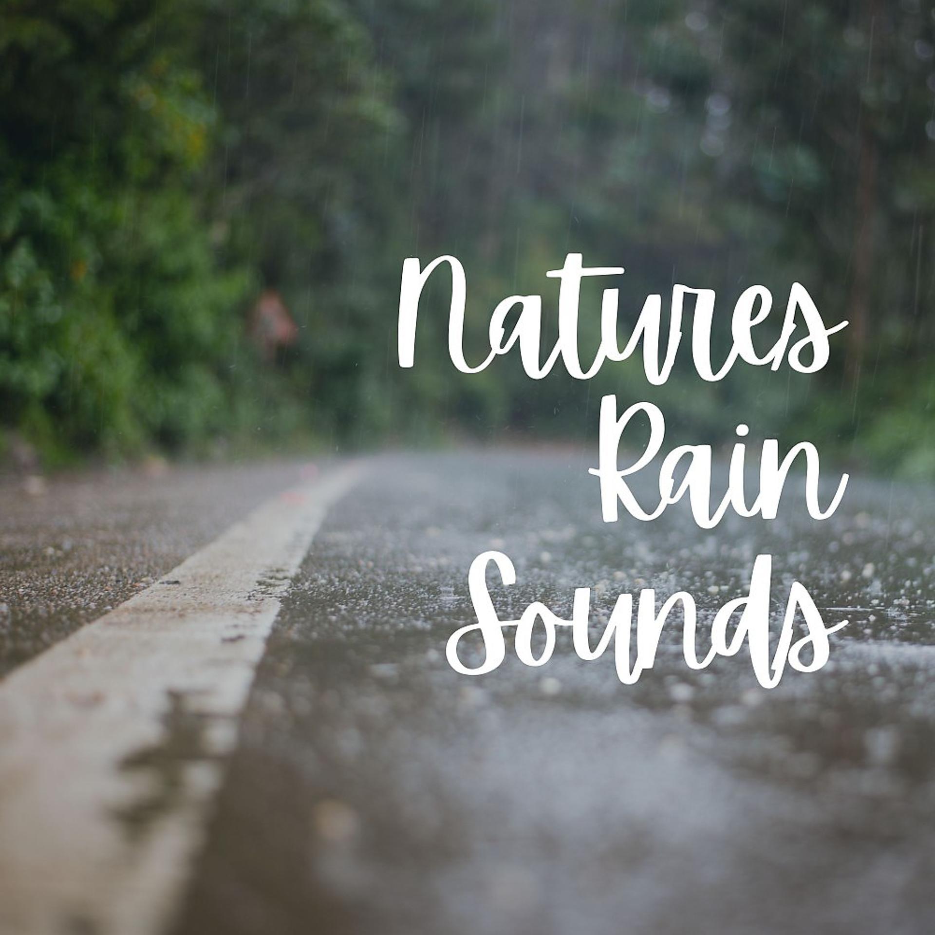 Постер альбома Natures Rain Sounds