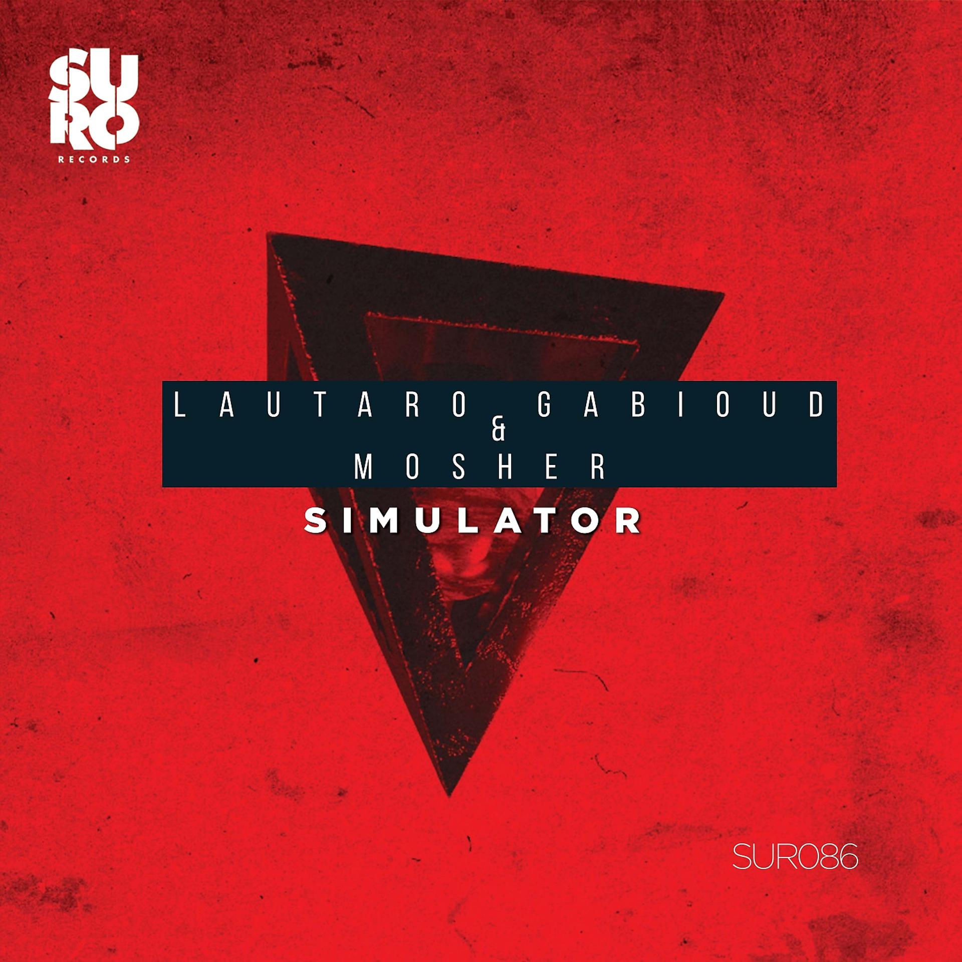 Постер альбома Simulator