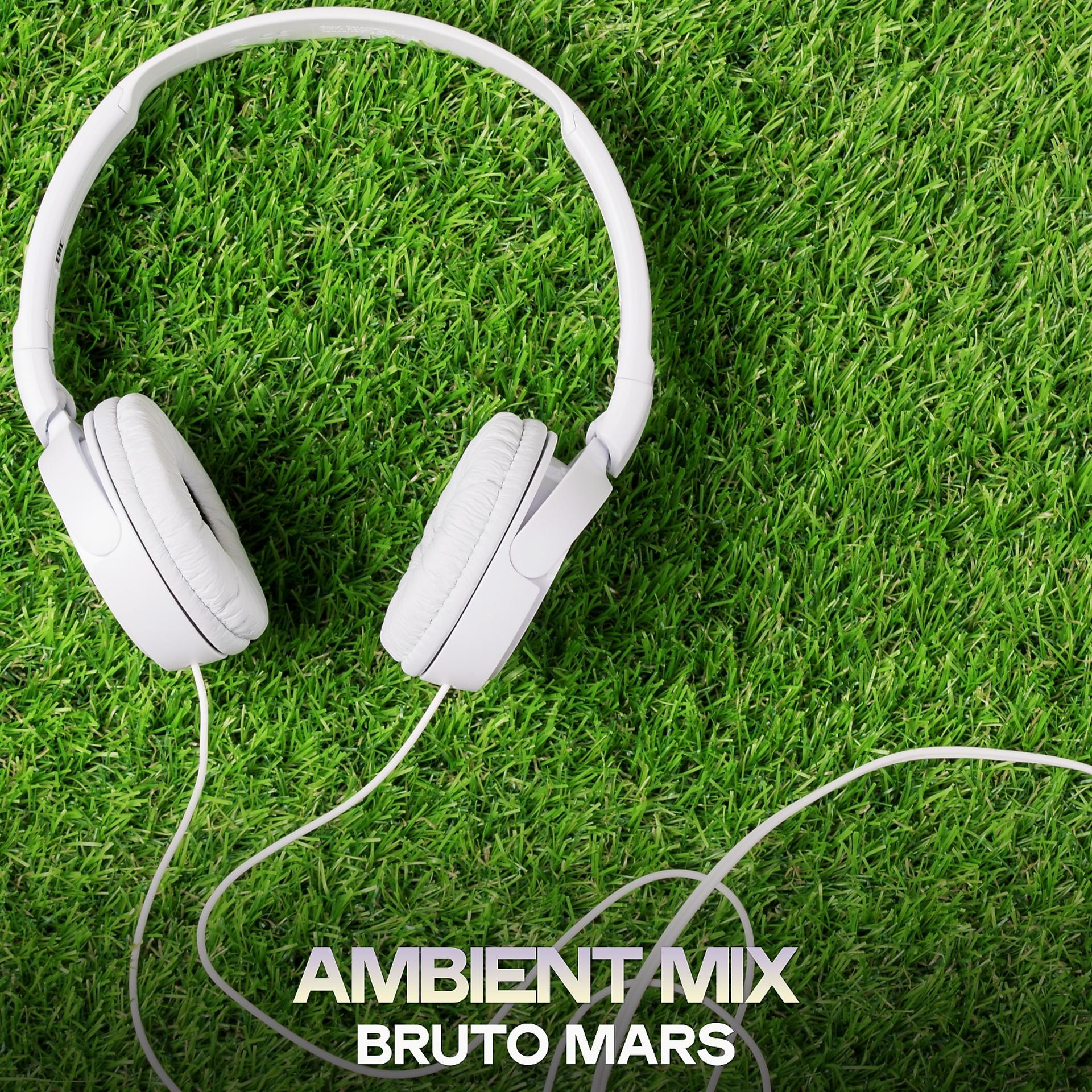 Постер альбома Ambient Mix