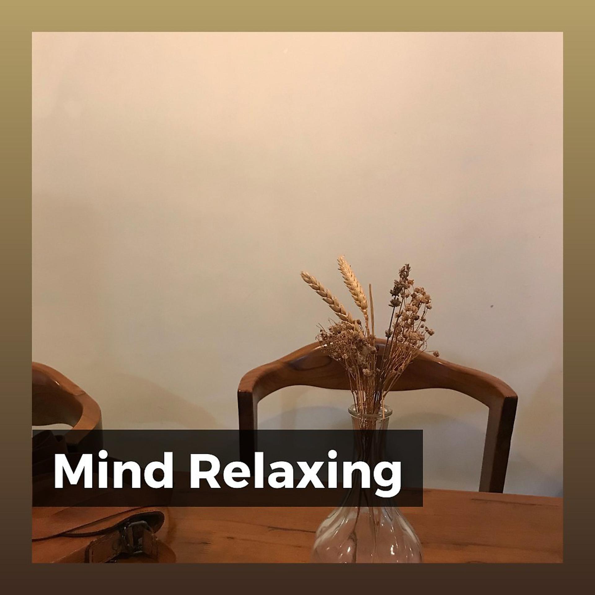 Постер альбома Mind Relaxing