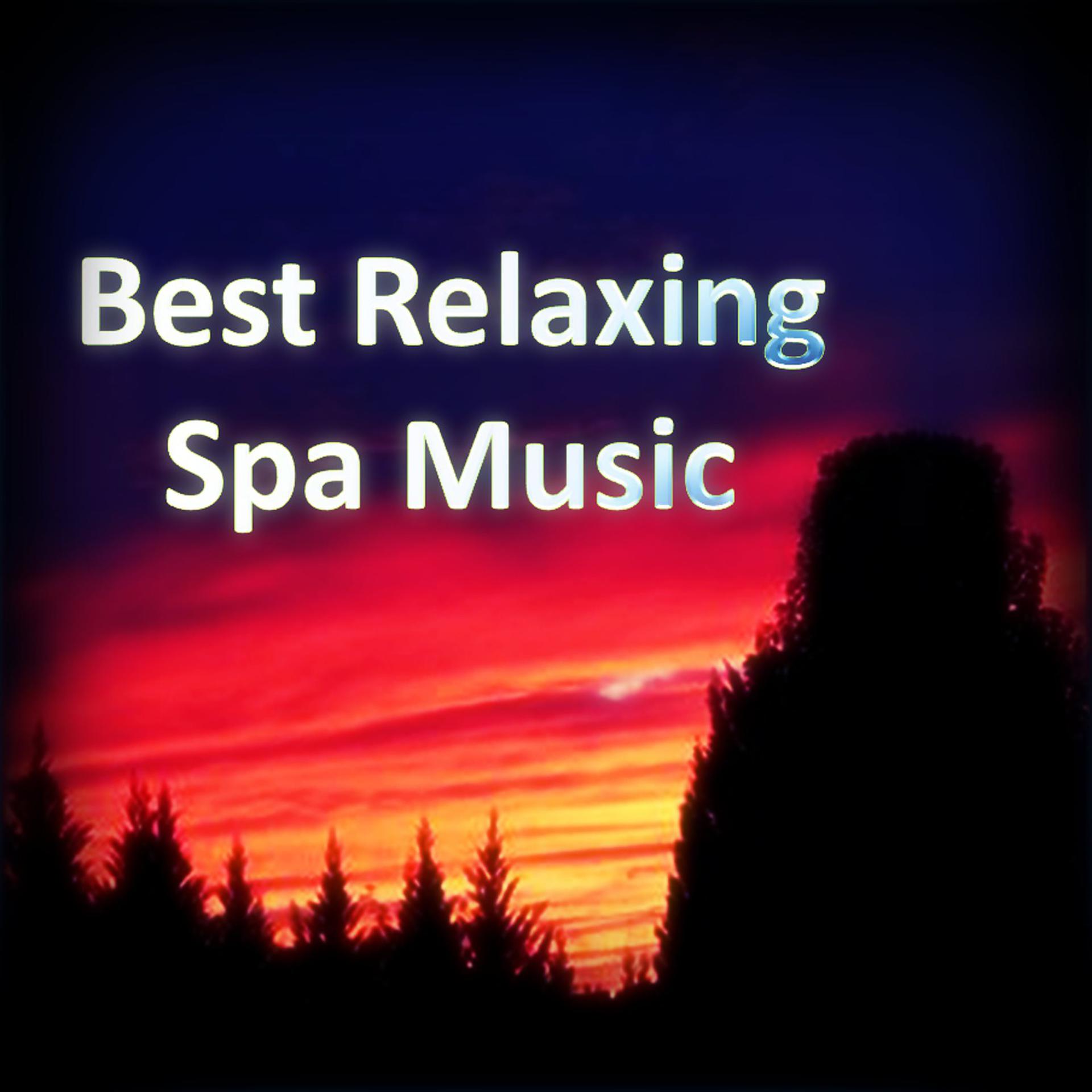 Постер альбома Best Relaxing Spa Music