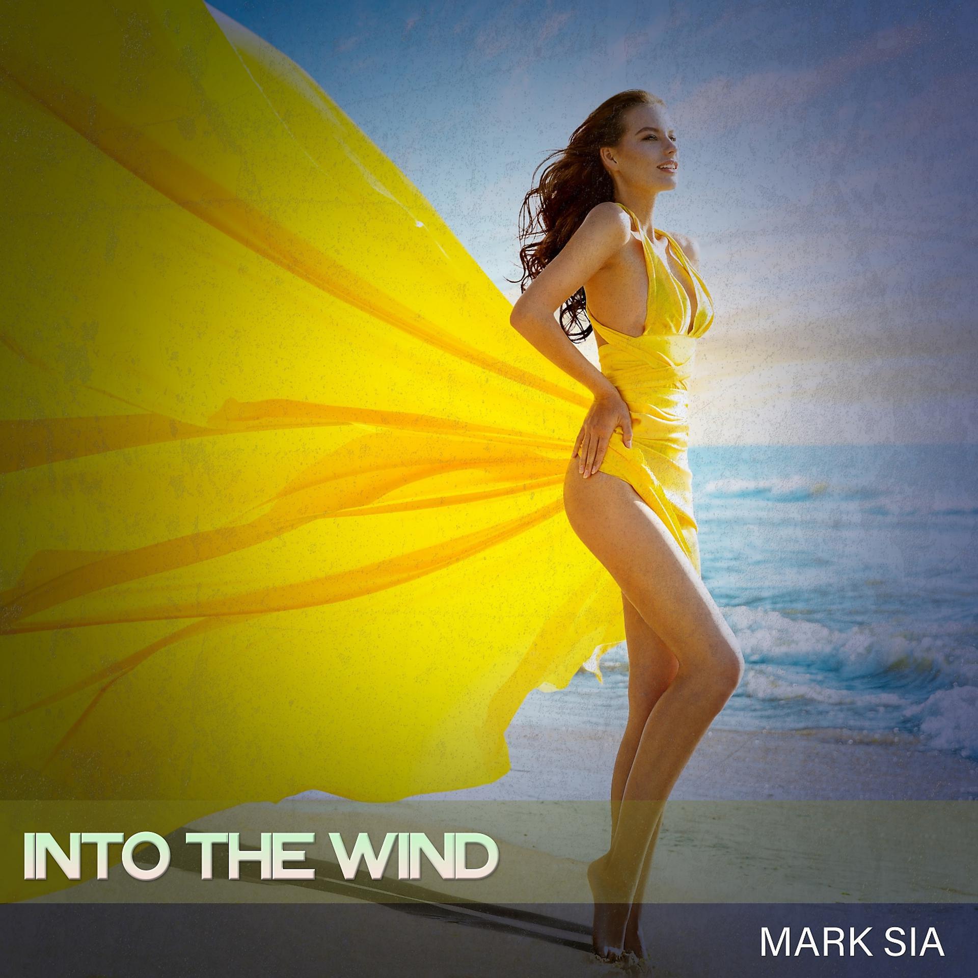 Постер альбома Into the Wind