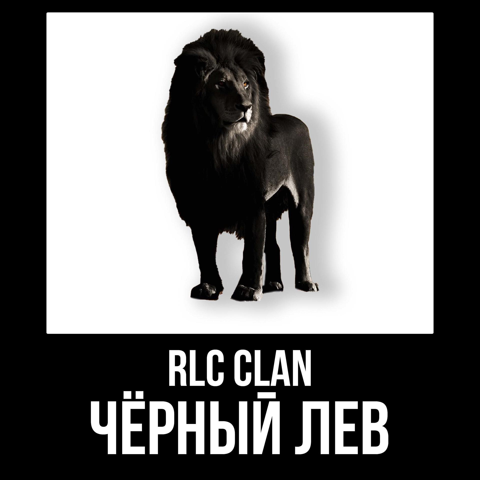 Постер альбома Чёрный лев